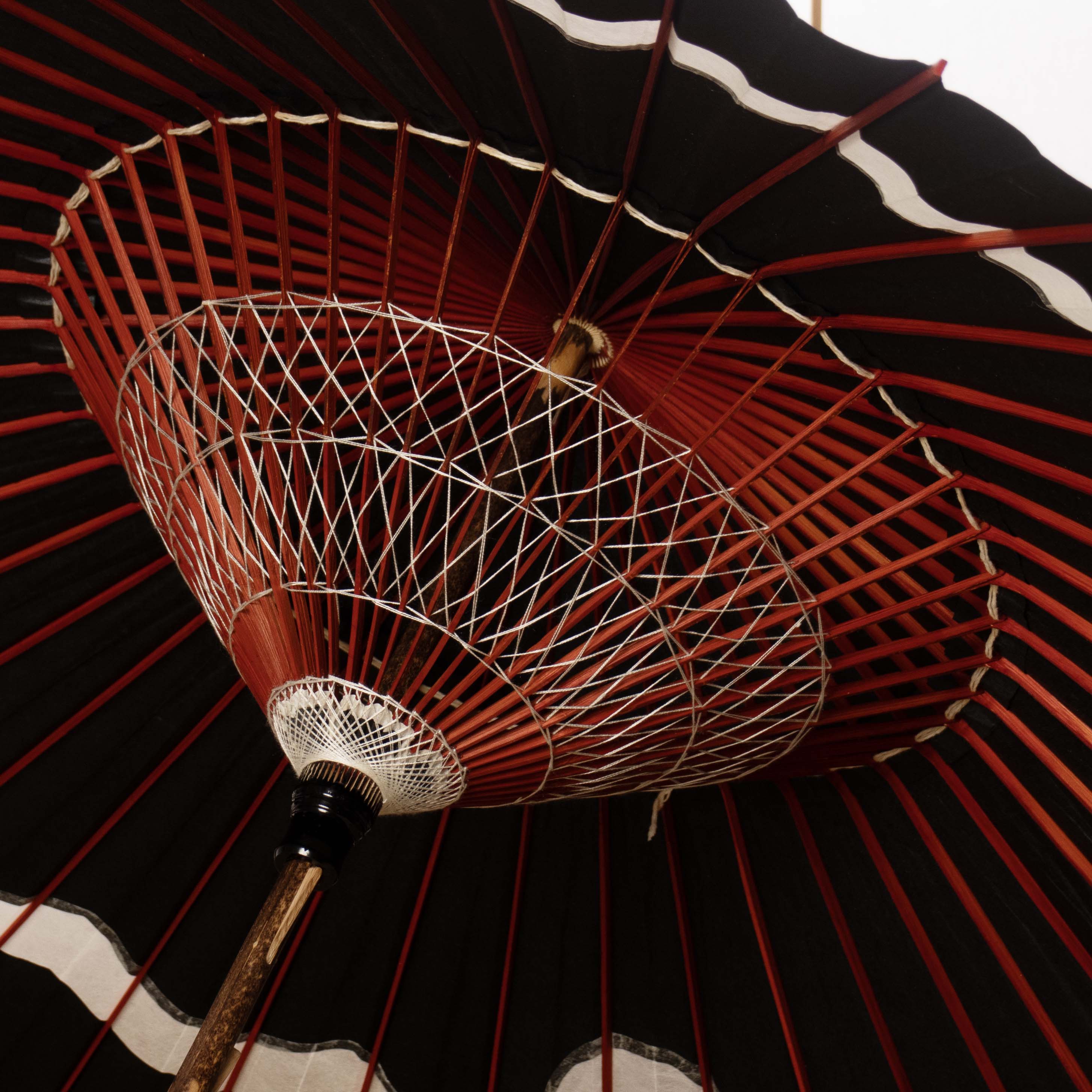 Pure White(White)/High Quality