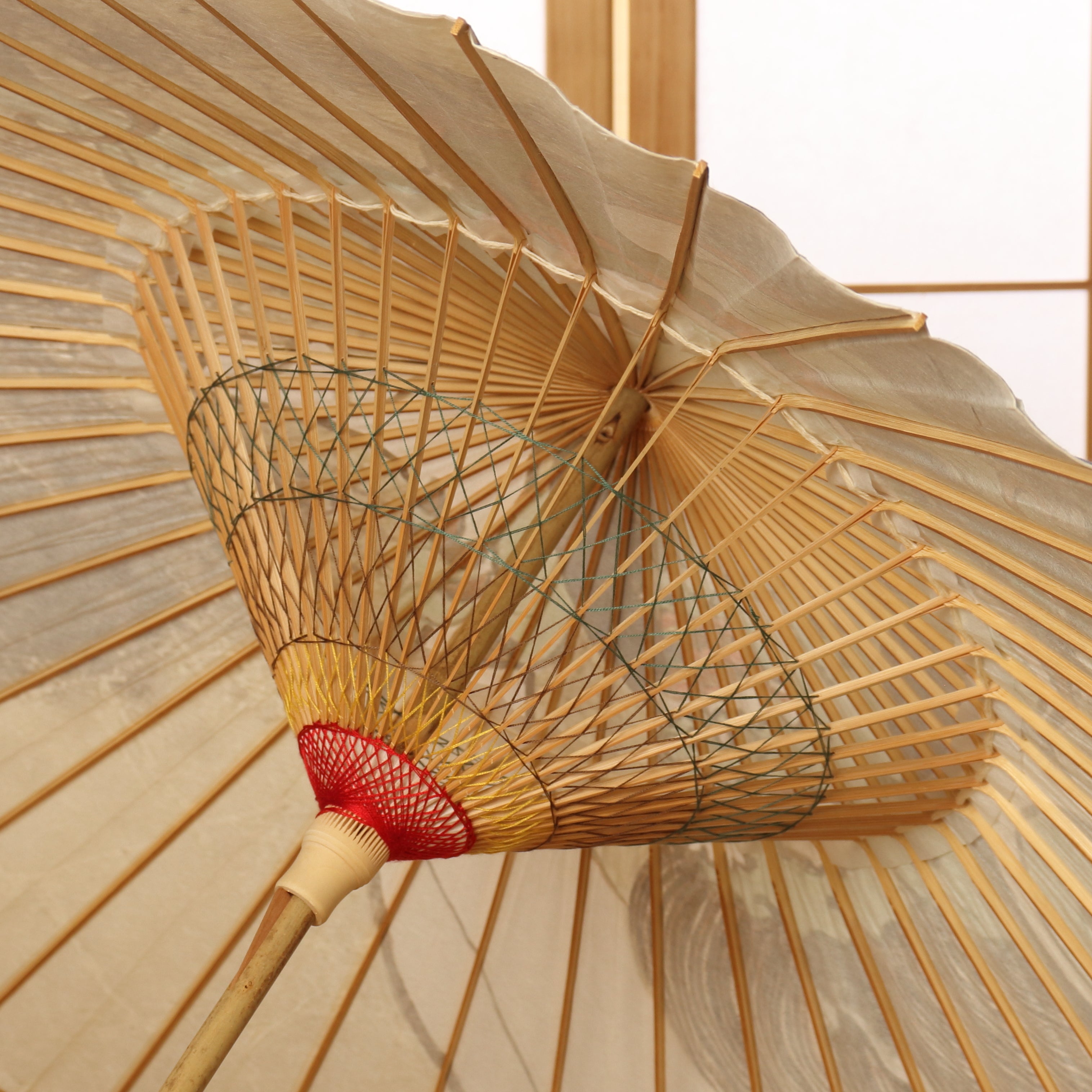 蛇の目傘 -風神-