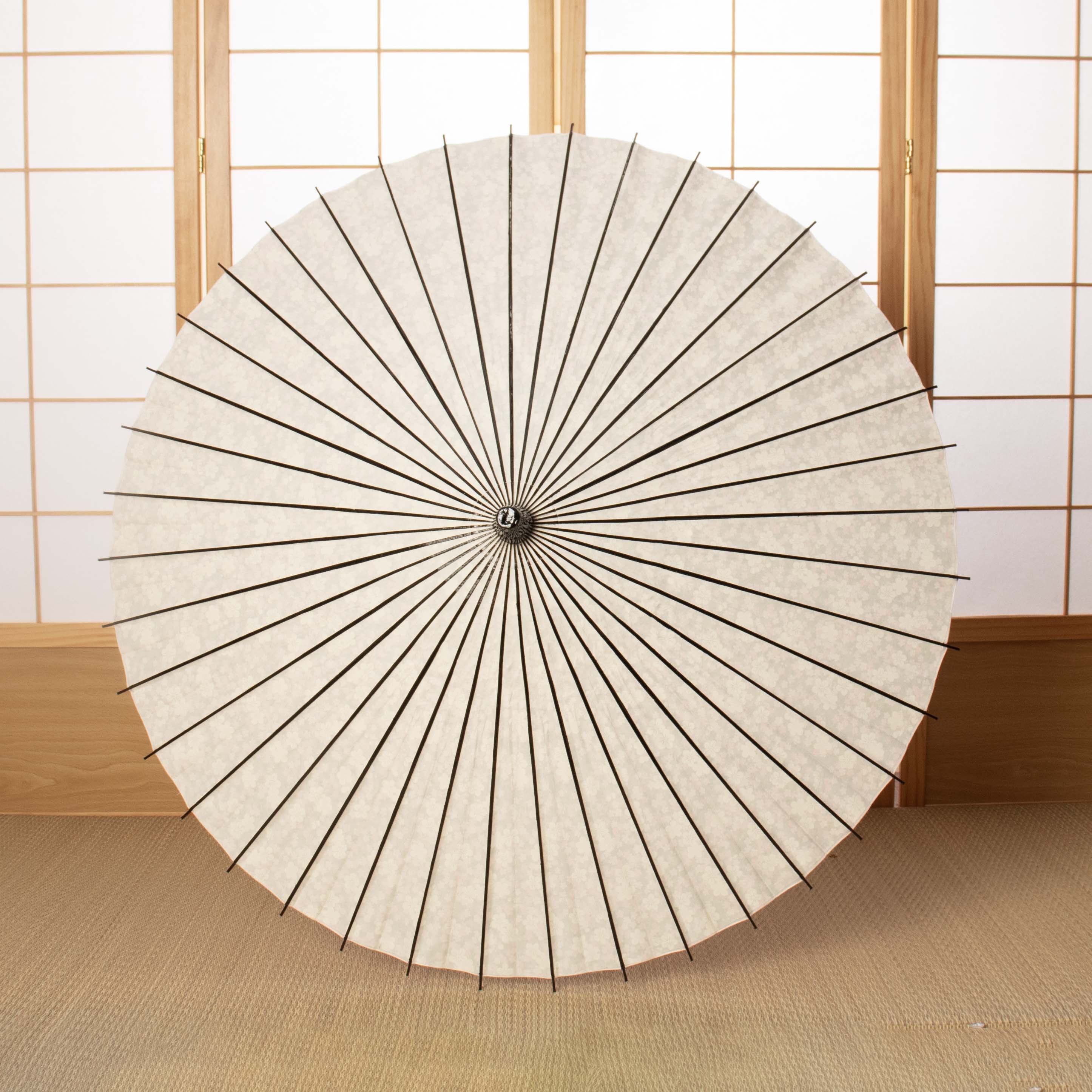 Flower opening / Plum blossom at night / Japanese parasol