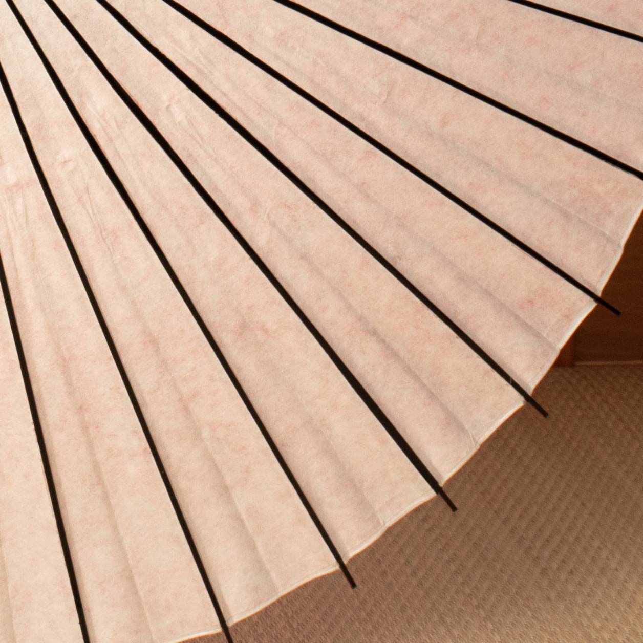 黒竹和日傘『花ひらく』 桜ごよみ