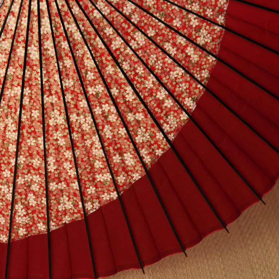 特選月奴 『桜日和に紅月』