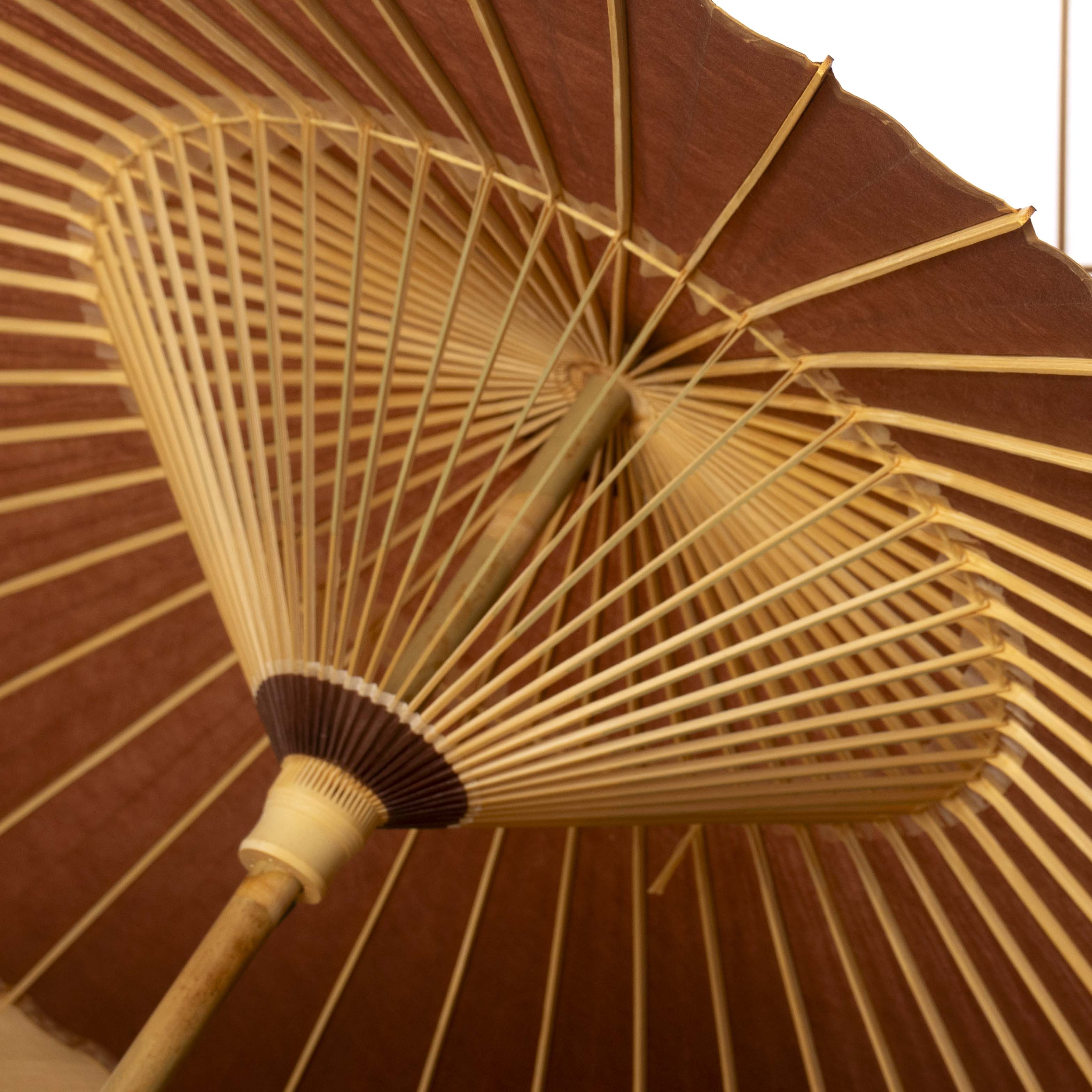 Danjuro-cha(Brown) / Kiwami Parasol
