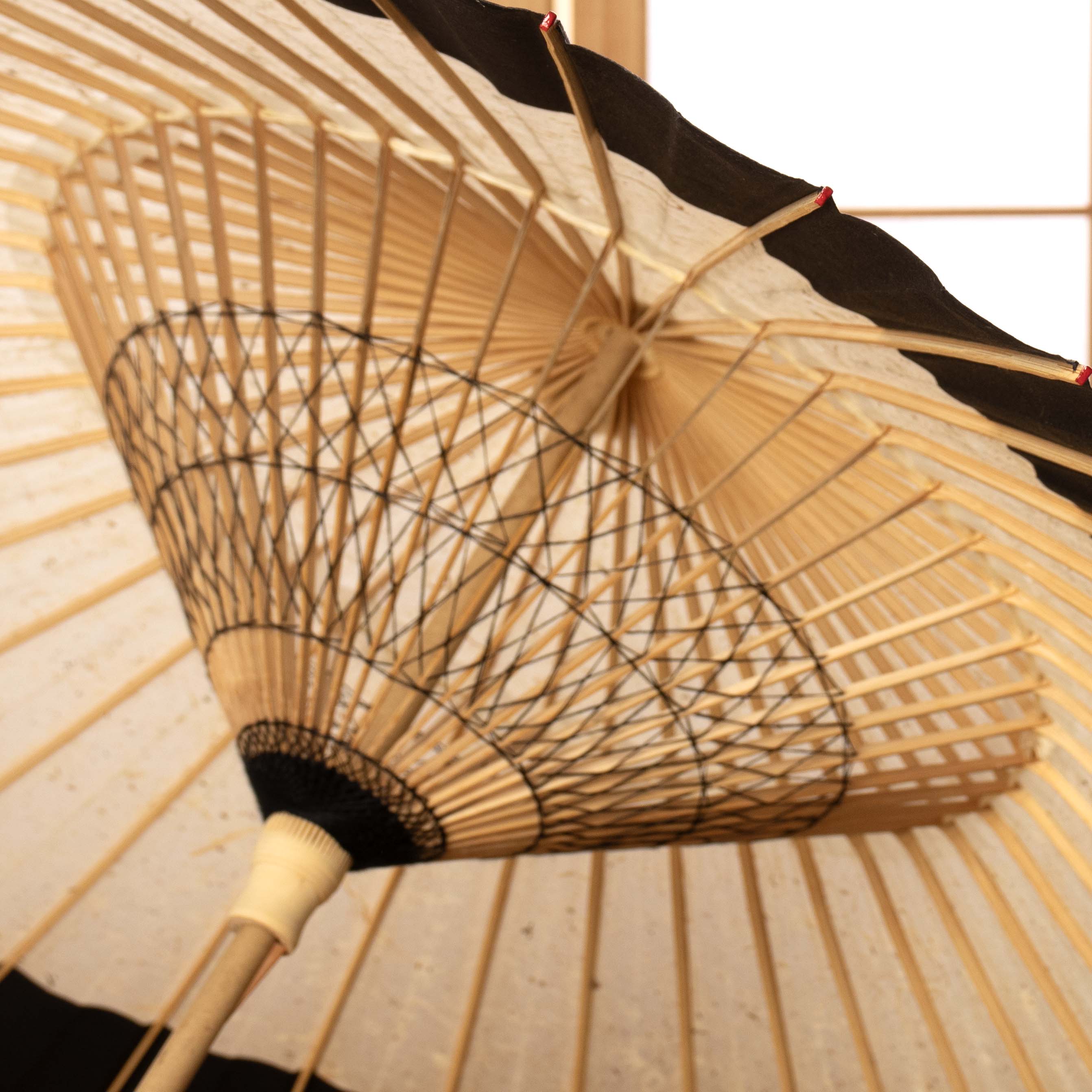 辻倉『極み』 特選月奴 吹雪に漆黒