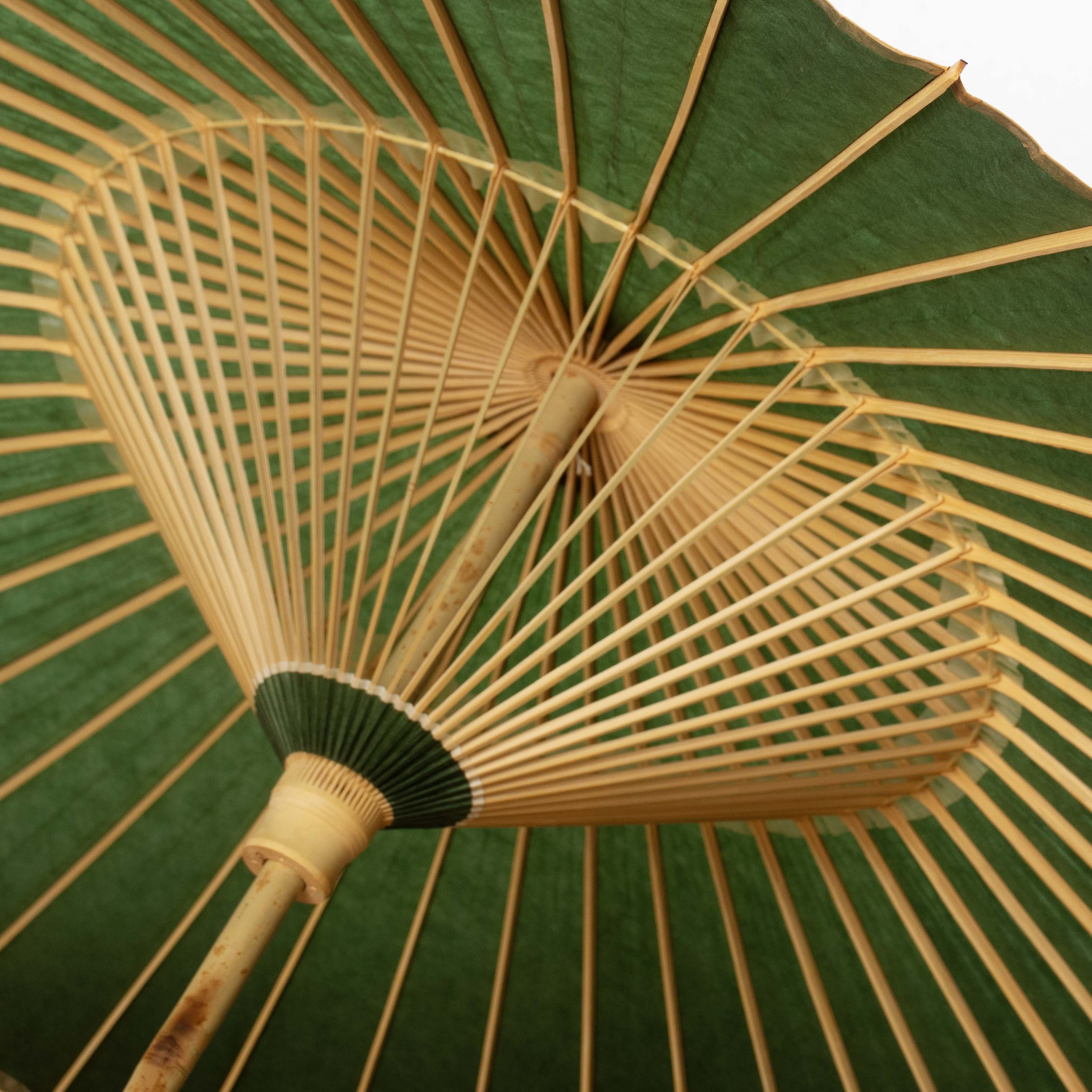 Midori(Green) / Kiwami Parasol