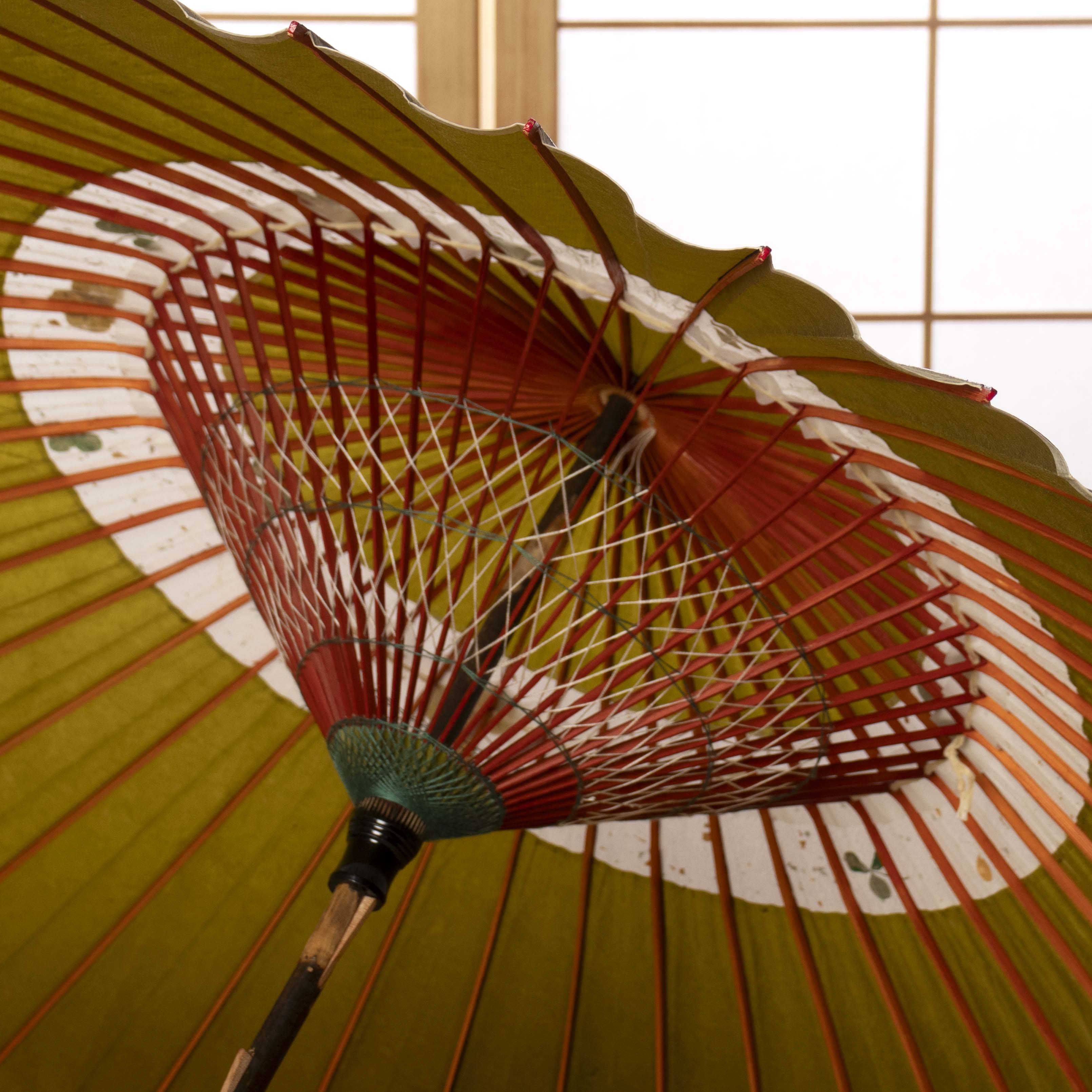 特選蛇の目柄 『若草にクローバー』