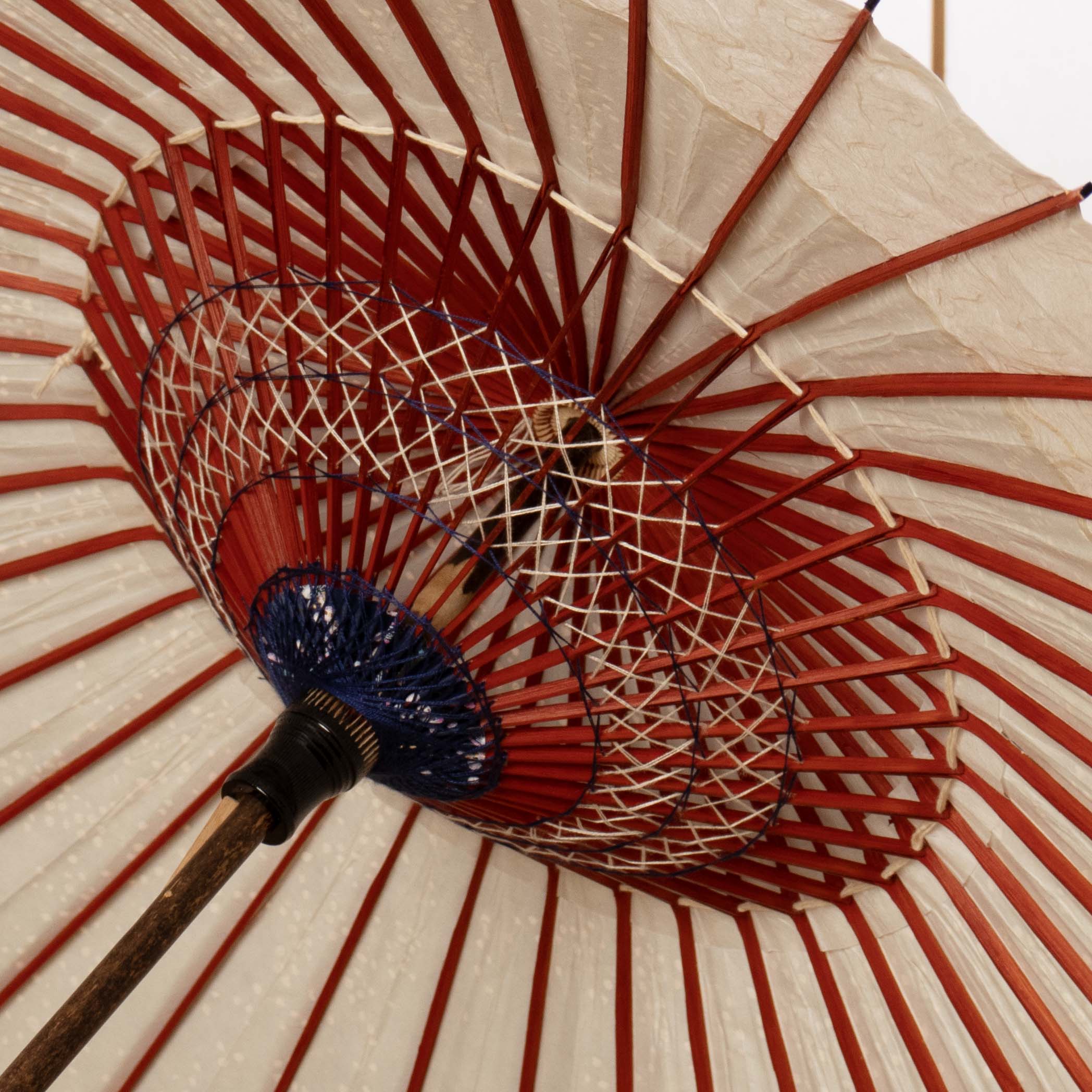 特選月奴 『藍華 -あいか-』