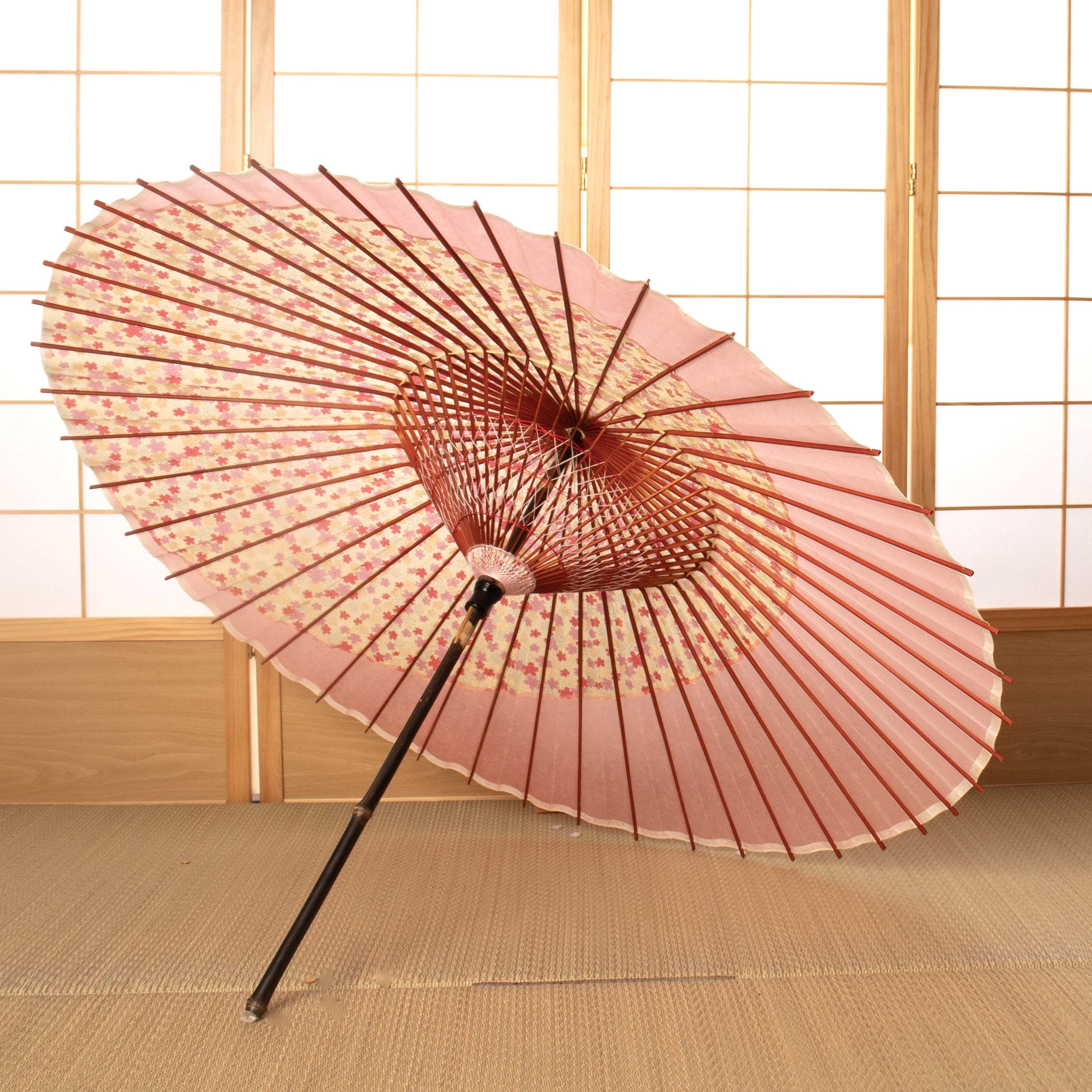 特選月奴 『乙女桜に桃乃月』