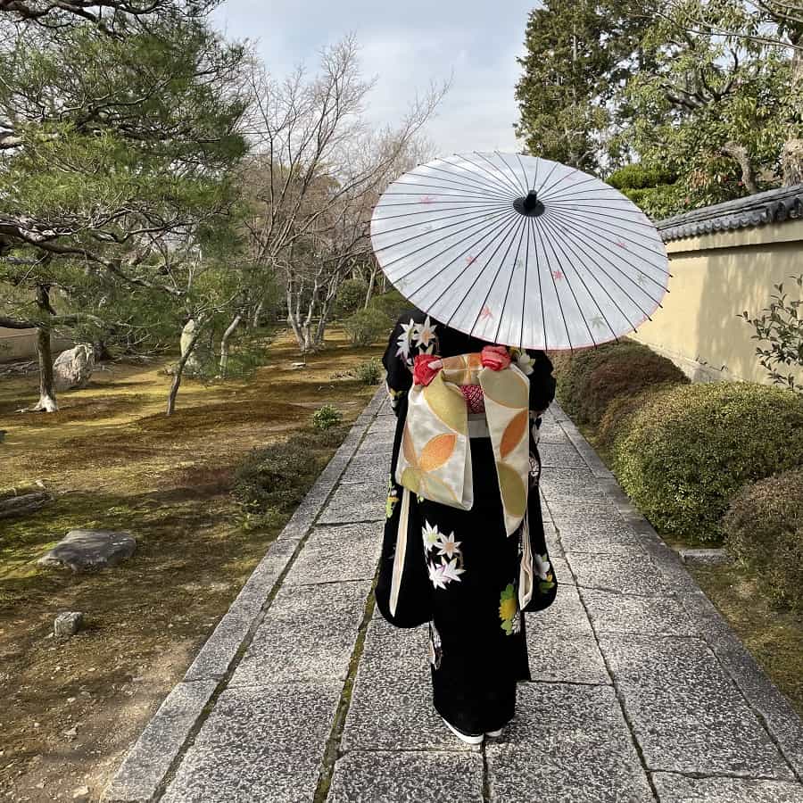 黒竹和日傘『透かし紅葉』