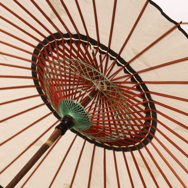 黒竹和日傘 透かし葉 『シダ』