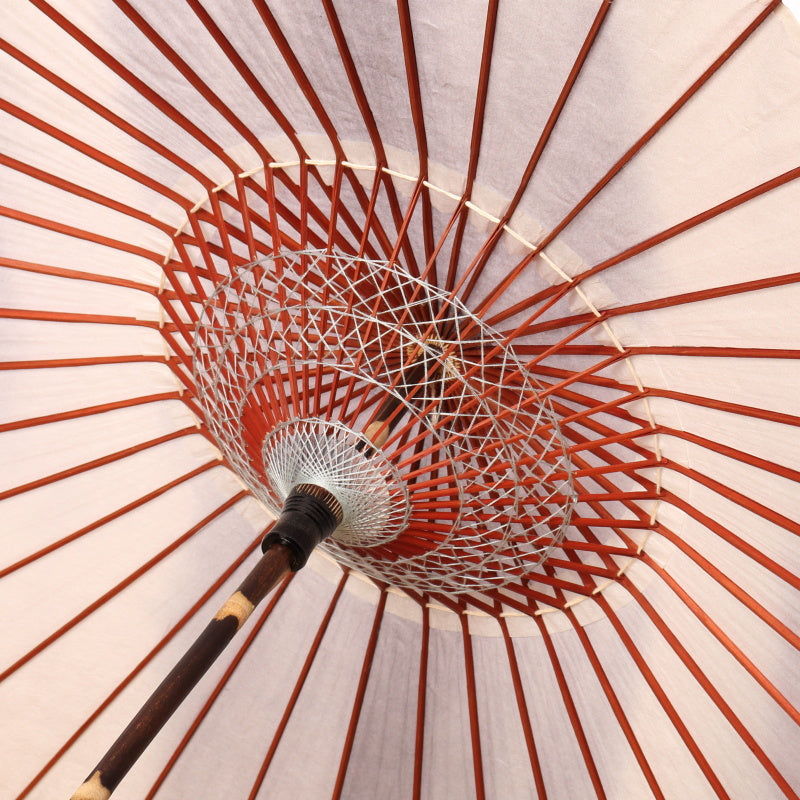 黒竹和日傘 『ぼかし染』すず色