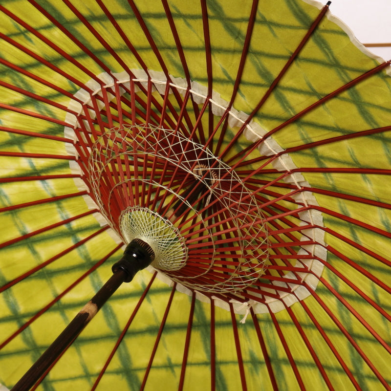 黒竹和日傘『縁』絞り 萌黄