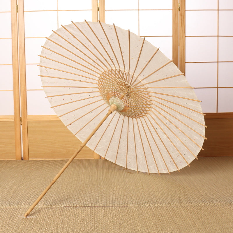 Kyoto Kurotani Special Parasol "Unryu/Tanabata White"