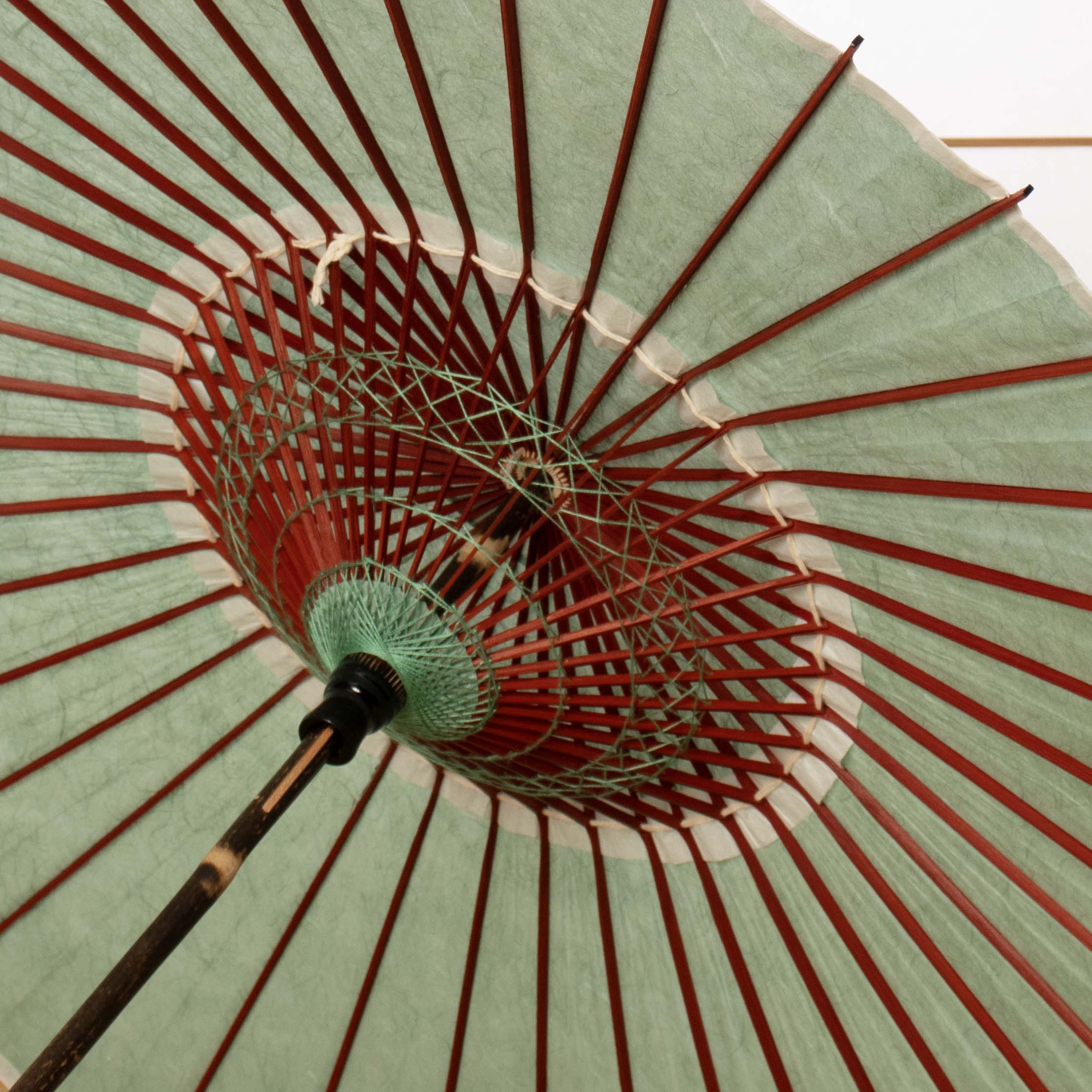 黒竹和日傘『縁』雲竜紙 若みどり