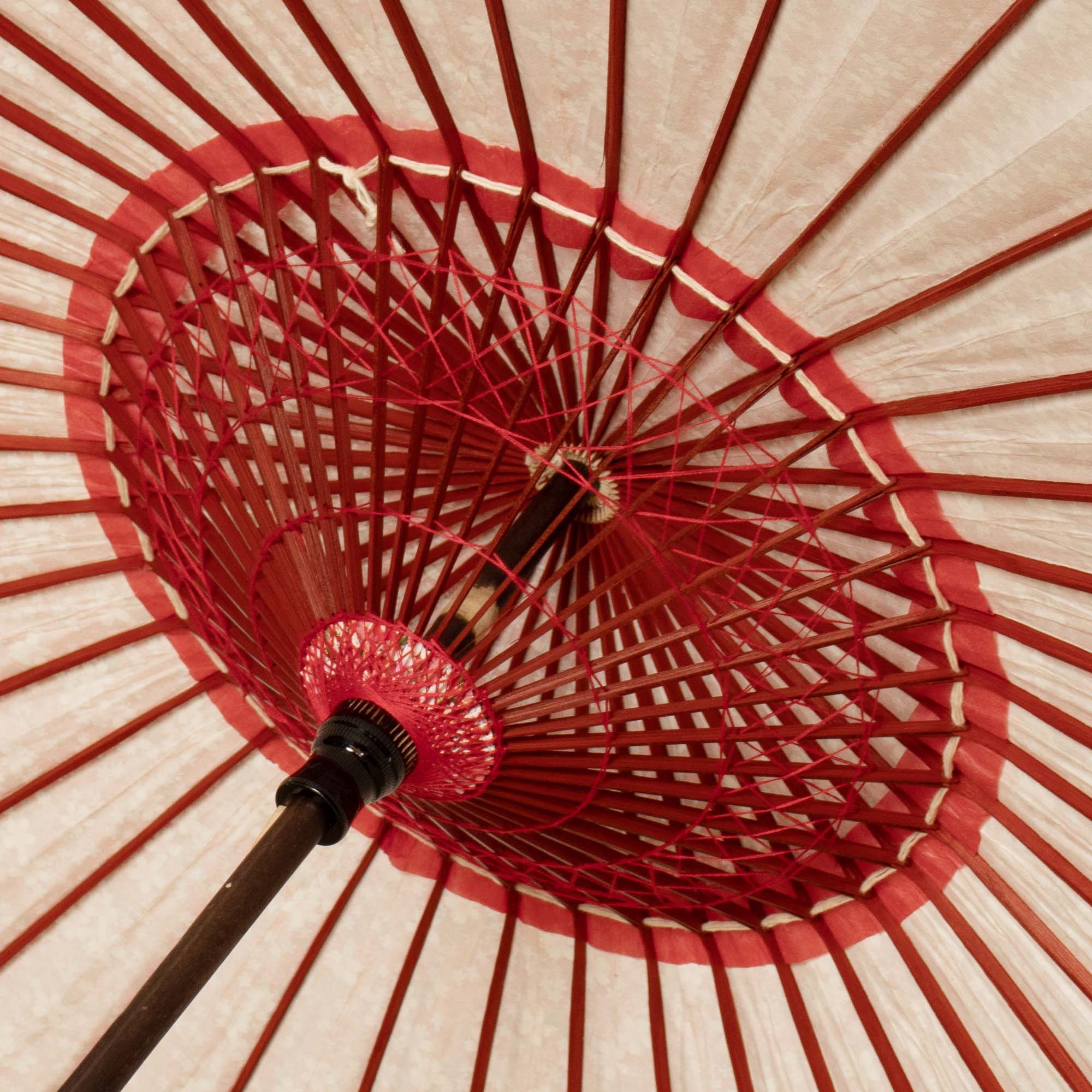 黒竹和日傘 京友禅『桜日和/赤』