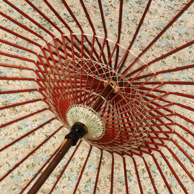 黒竹和日傘『花ひらく』 雪柳 /水色