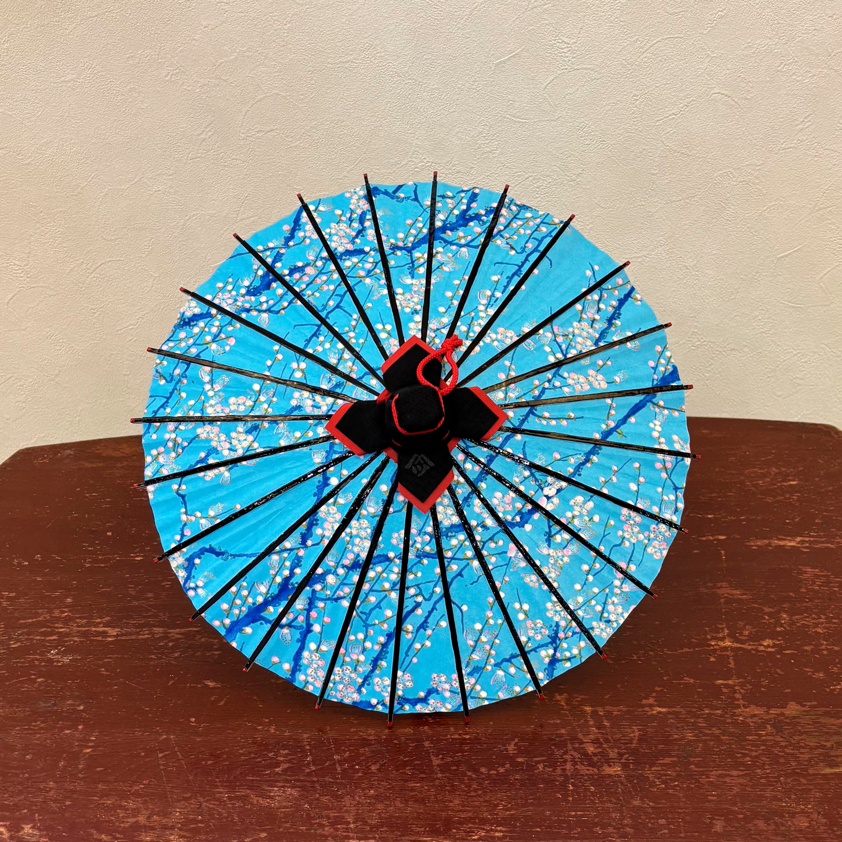 姫和傘 『枝に小梅』水色