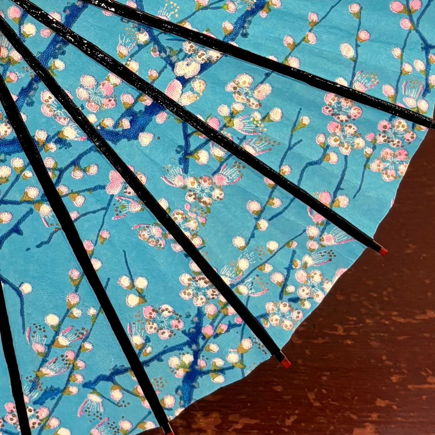 姫和傘 『枝に小梅』水色