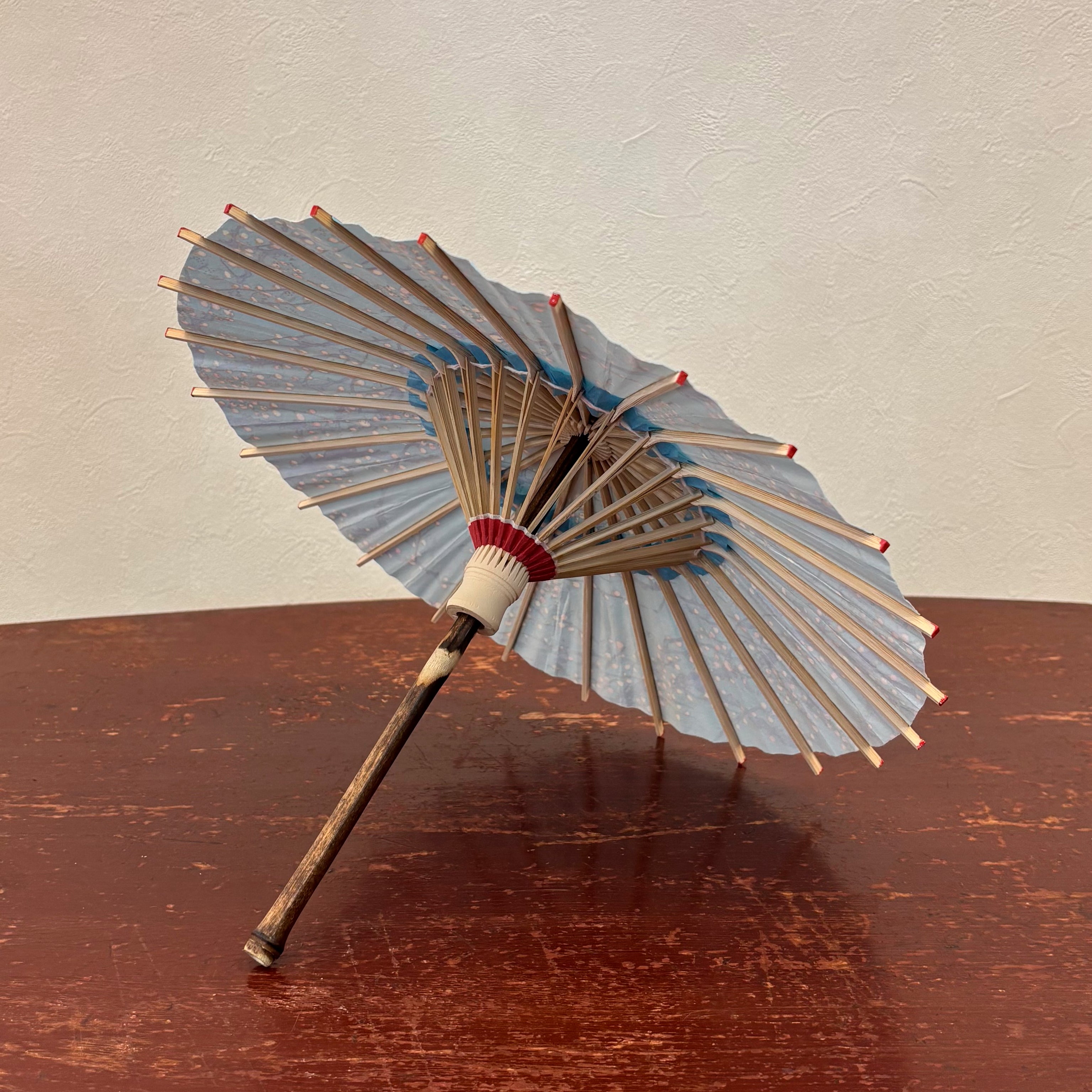 姫和傘 『枝に小梅』水色