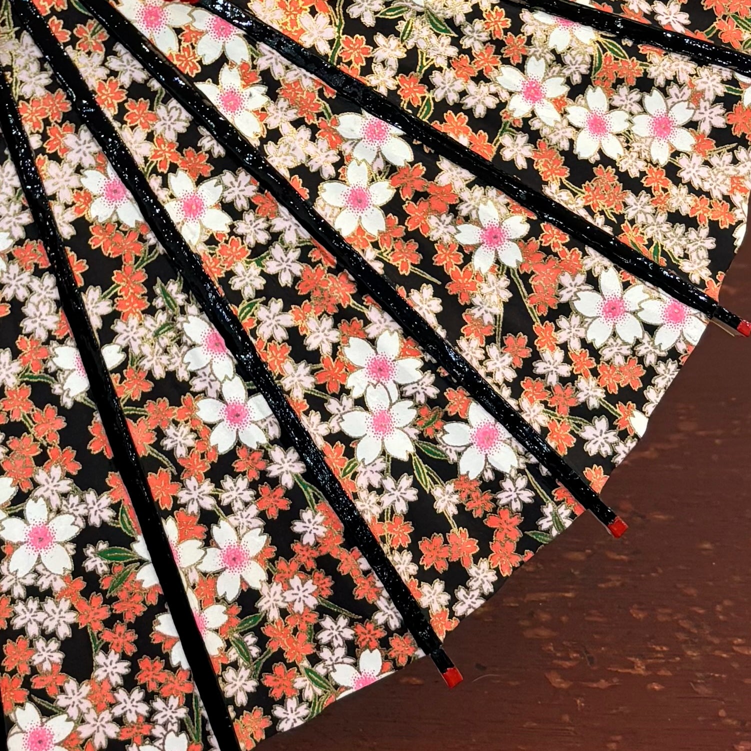 姫和傘 『桜日和』黒