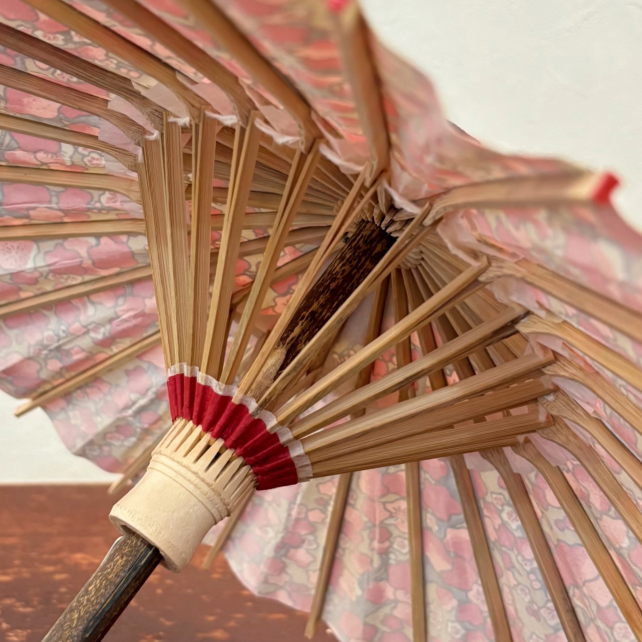 姫和傘 『金雲紅梅』