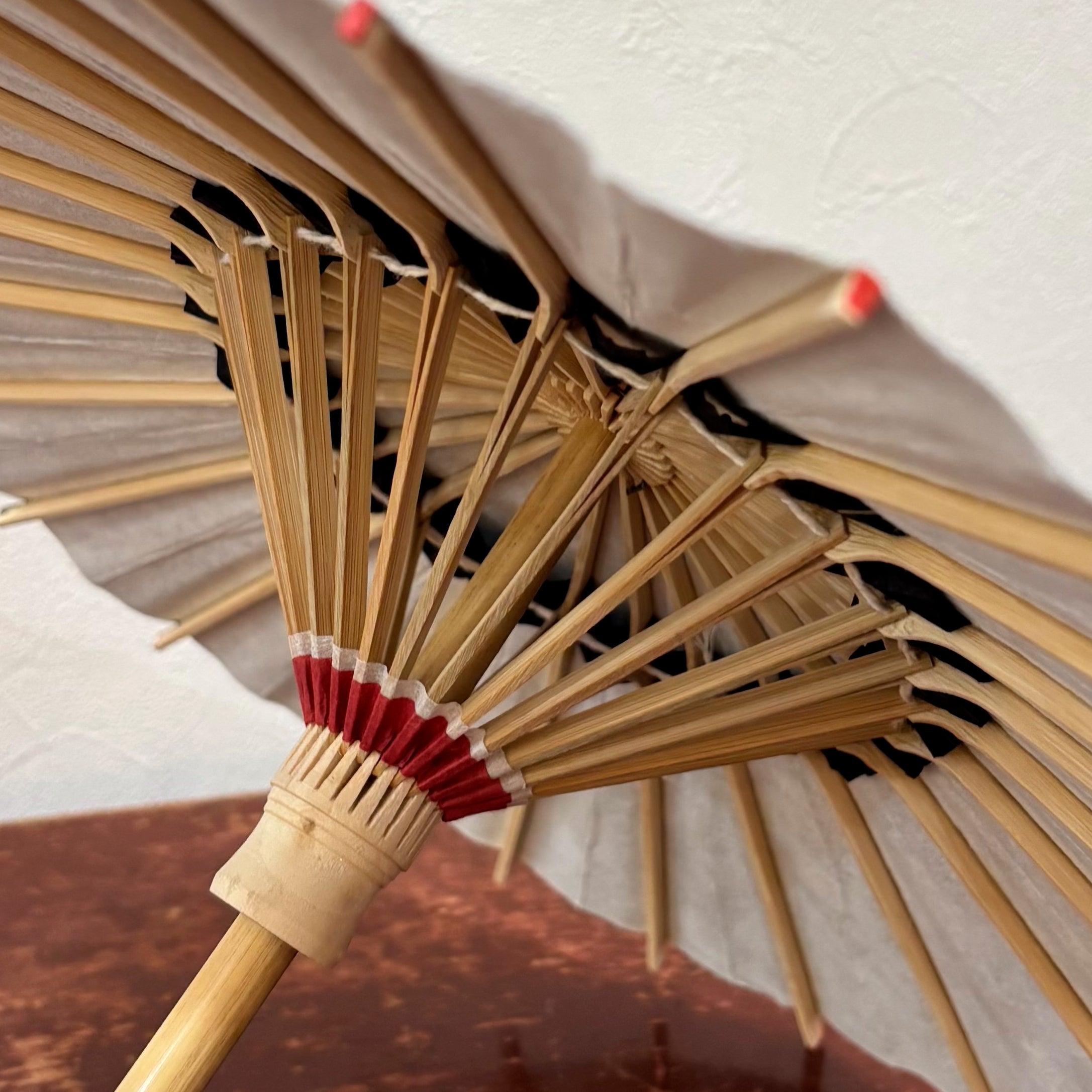 姫和傘 『鳴門』