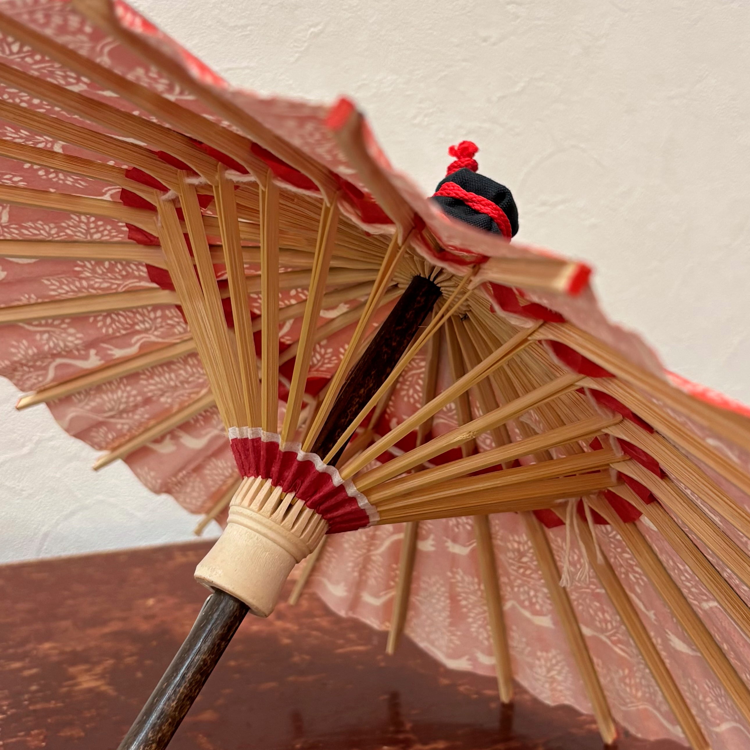 姫和傘 『朱色に並木』