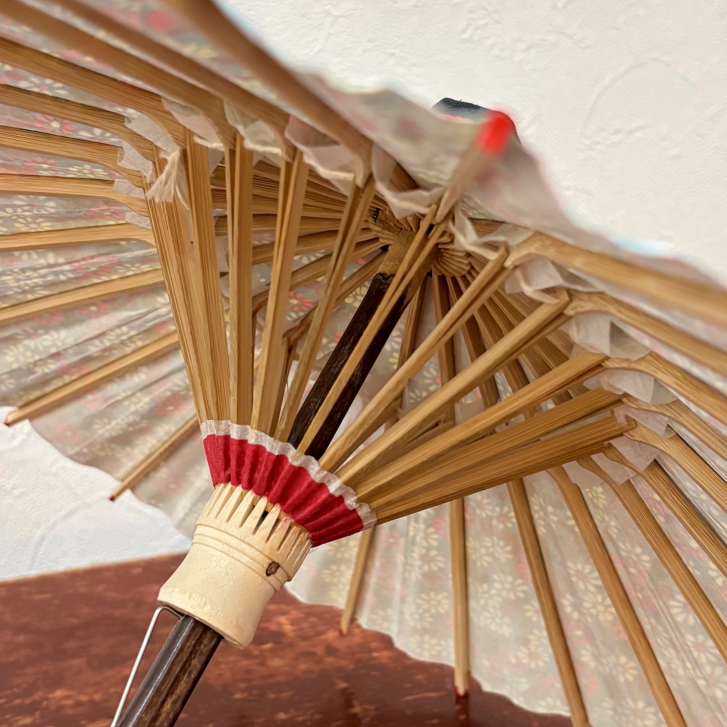 姫和傘 『蒼菊の詩』