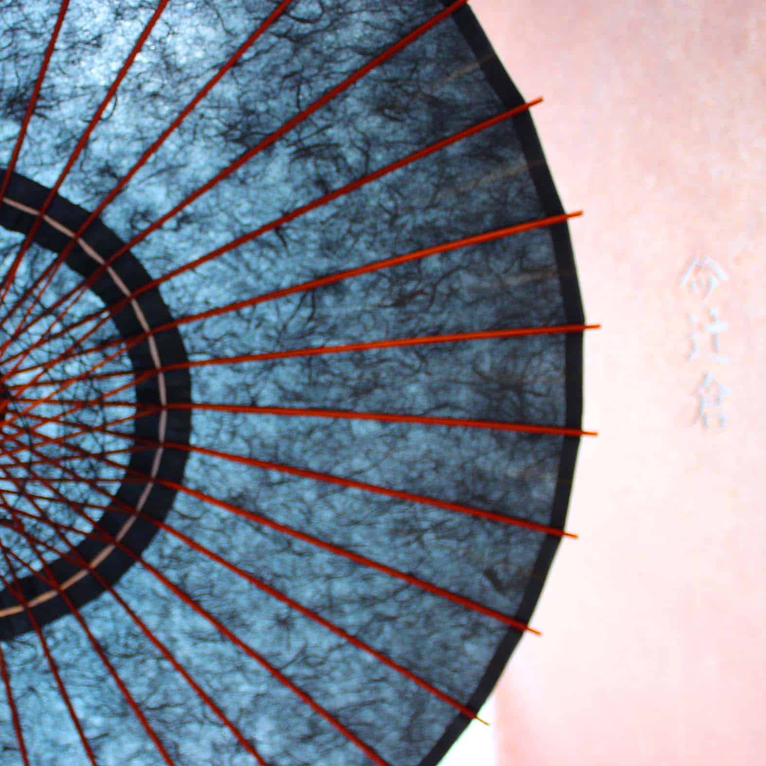 黒竹和日傘『縁』雲竜/玄