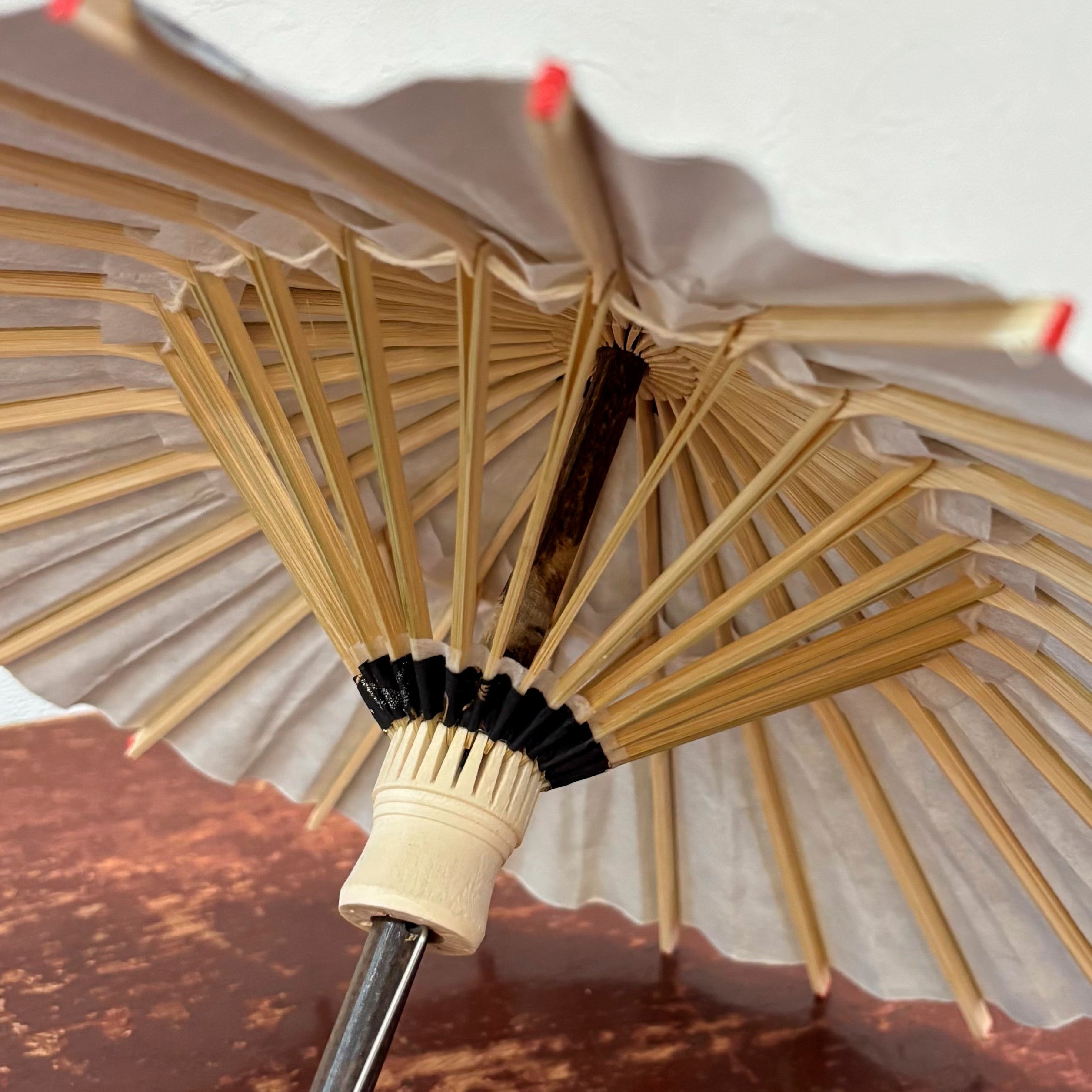 Double Cherry Blossoms/ Mini Wagasa