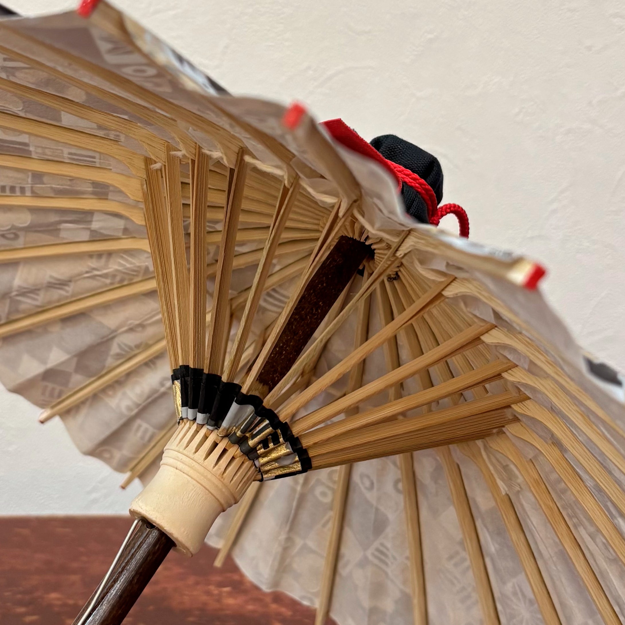 姫和傘 『金彩/モダン梅』