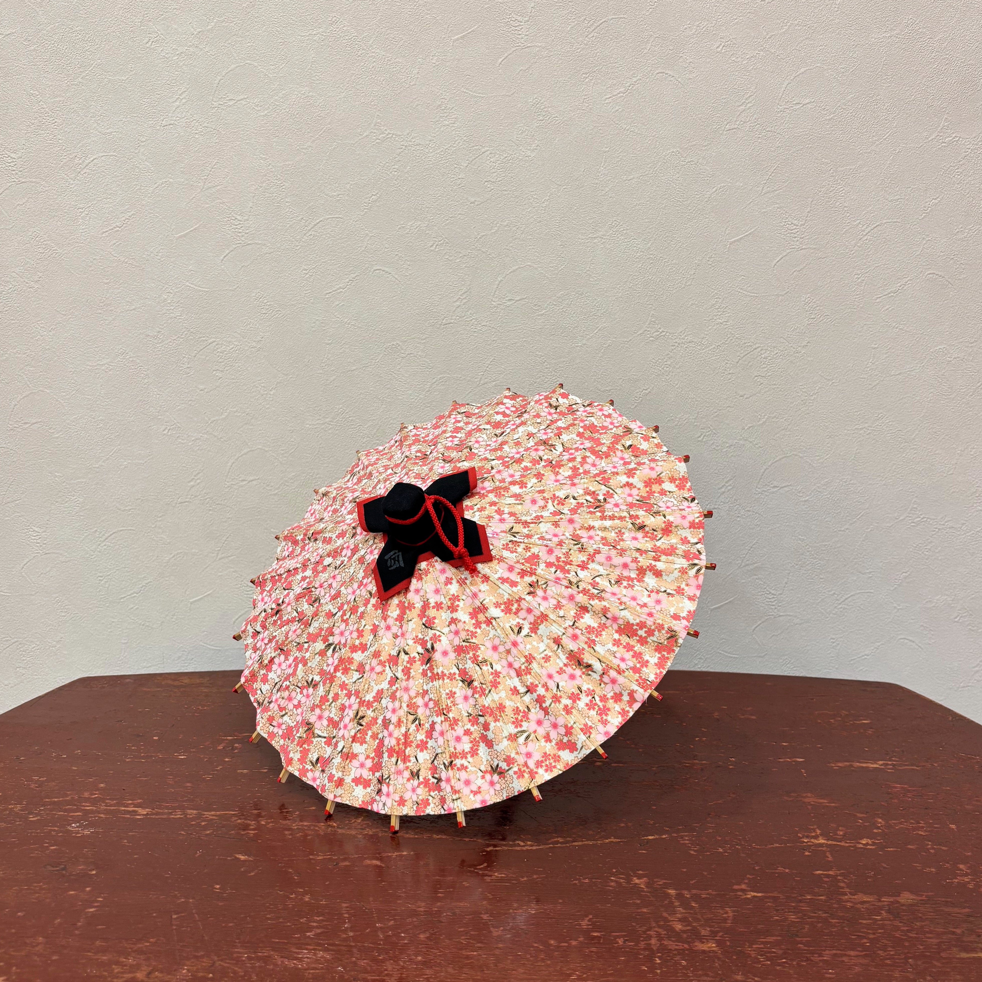 姫和傘 『桜日和』白