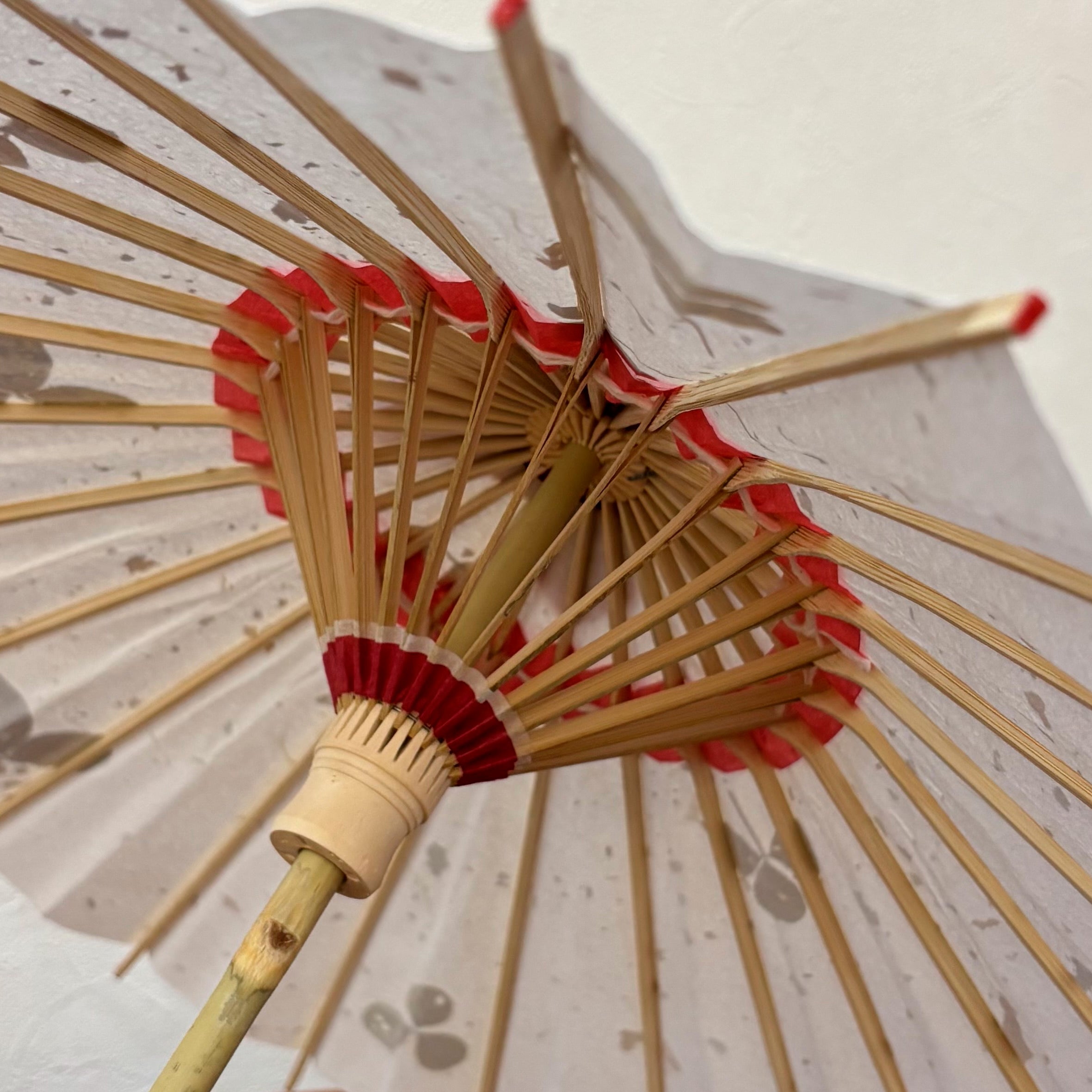 Leafy Clover / Mini Wagasa