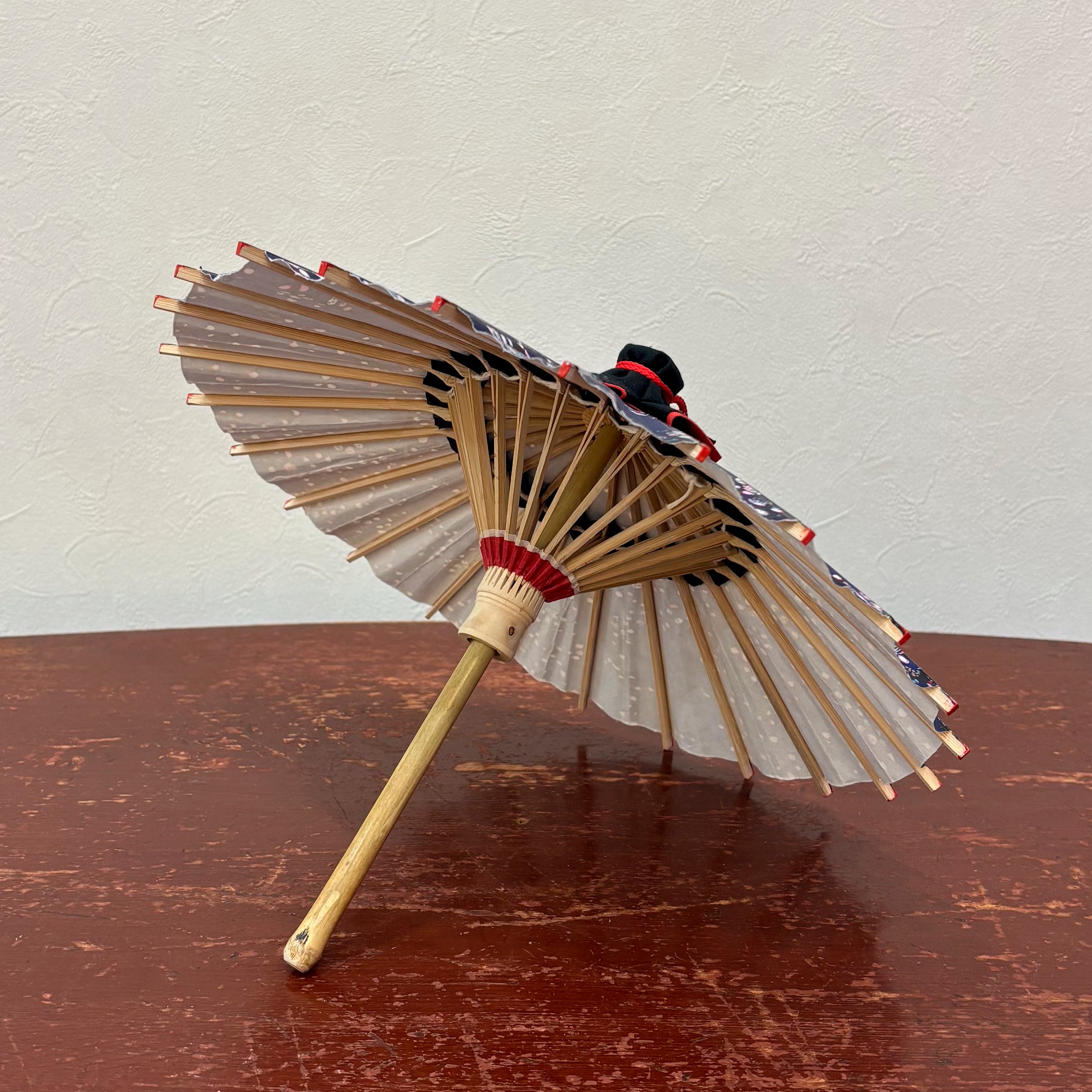 姫和傘 『枝に小梅』藍