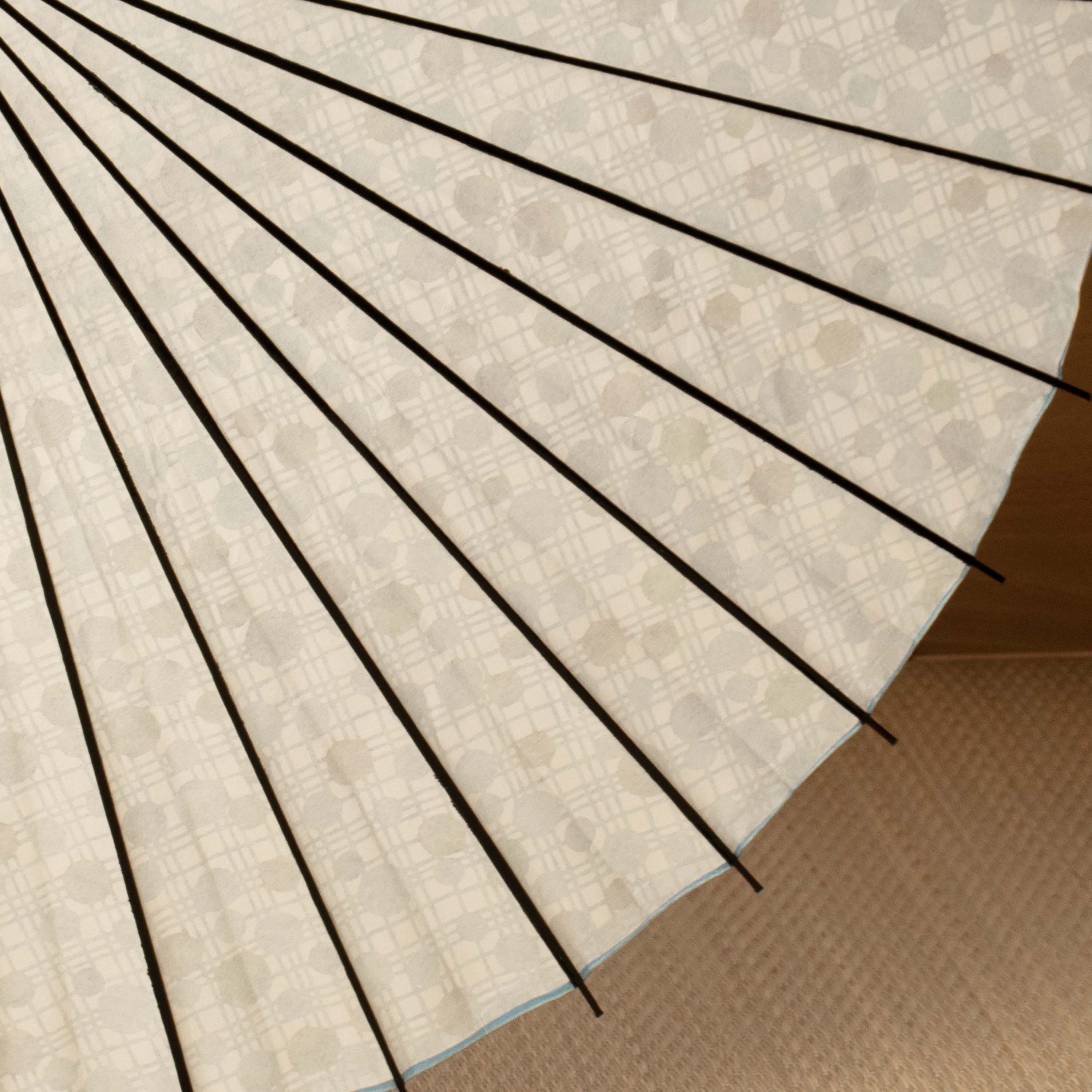 和日傘 『花ひらく』 水玉格子 蒼