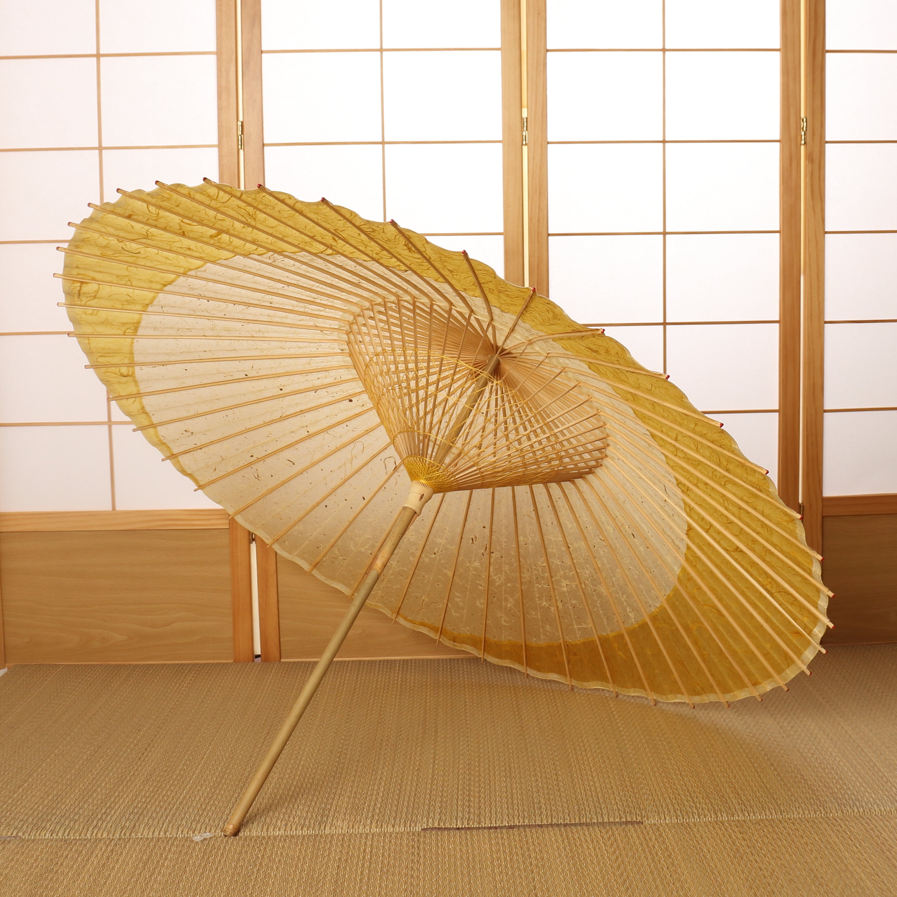 辻倉『極み』 特選月奴 吹雪に雲龍黄金