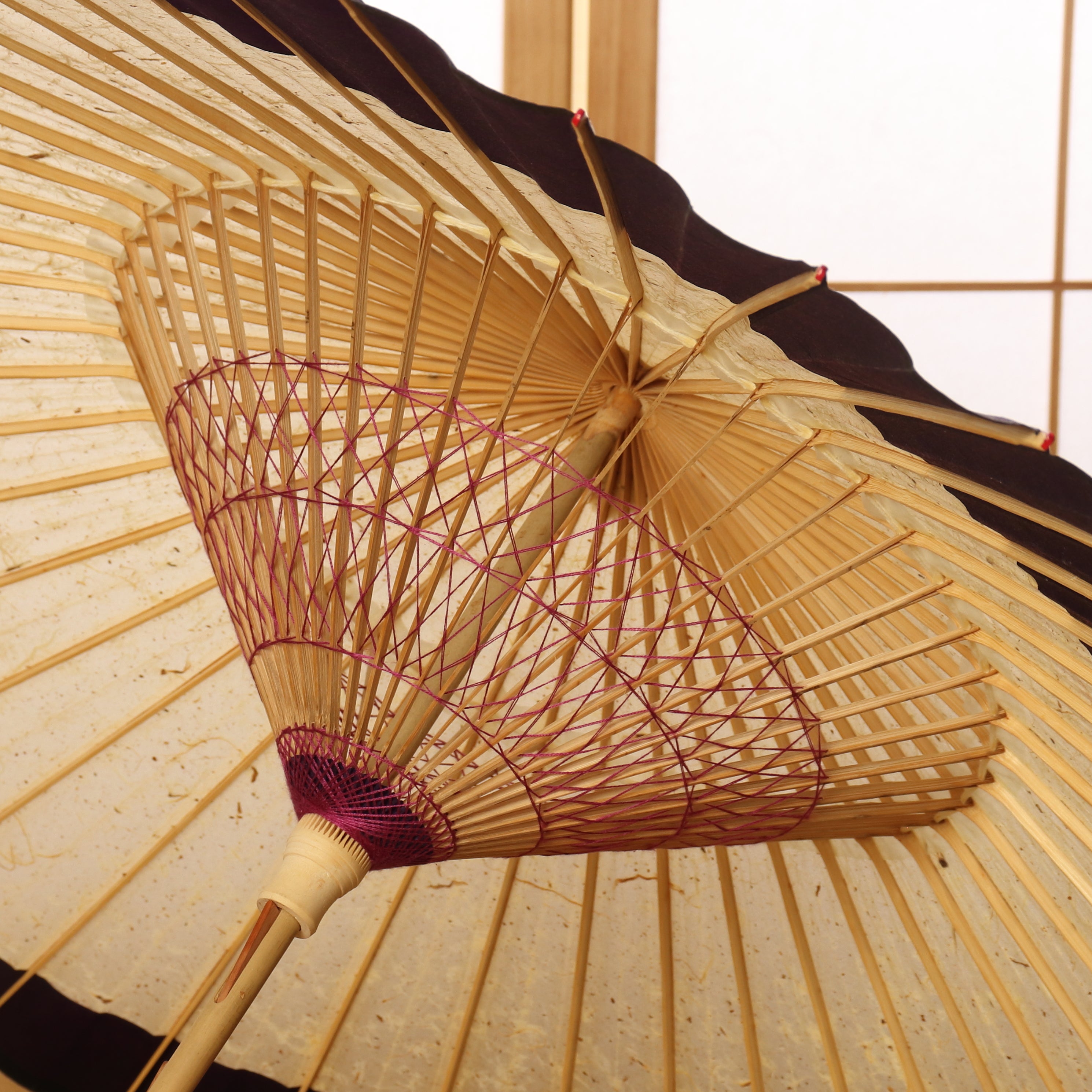 辻倉『極み』 特選月奴 吹雪に紫紺