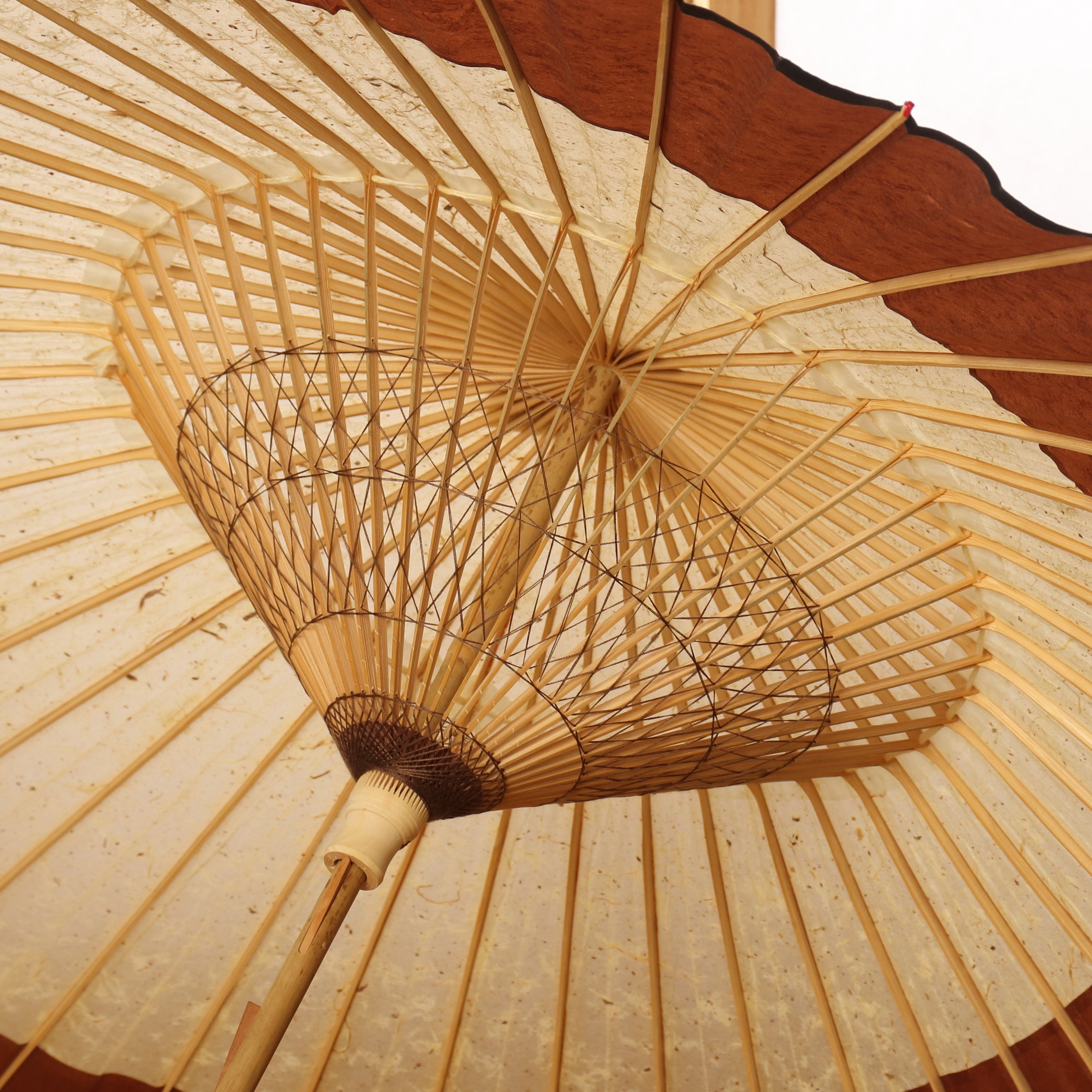 辻倉『極み』 特選月奴 吹雪に団茶