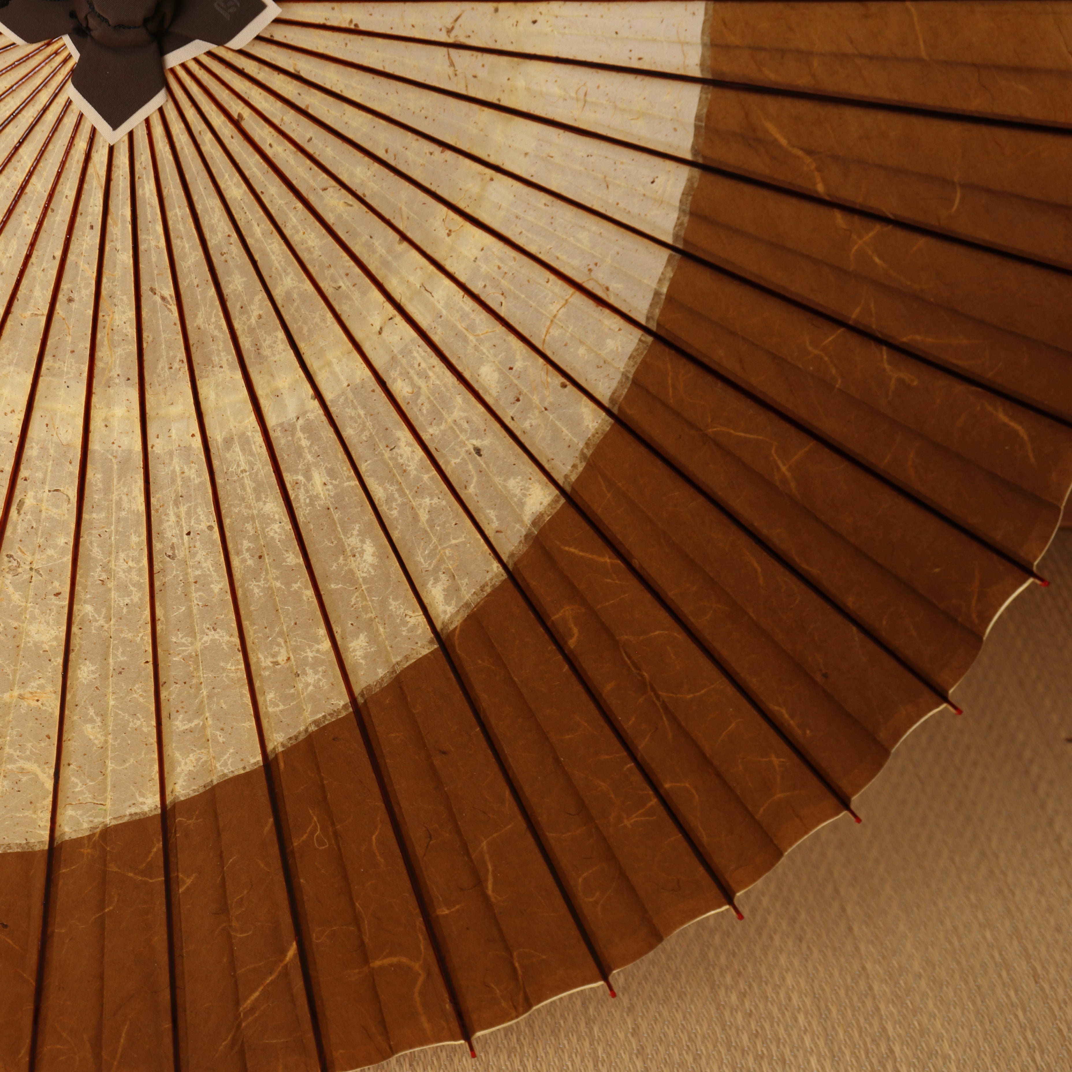 辻倉『極み』 特選月奴 吹雪に翆玉