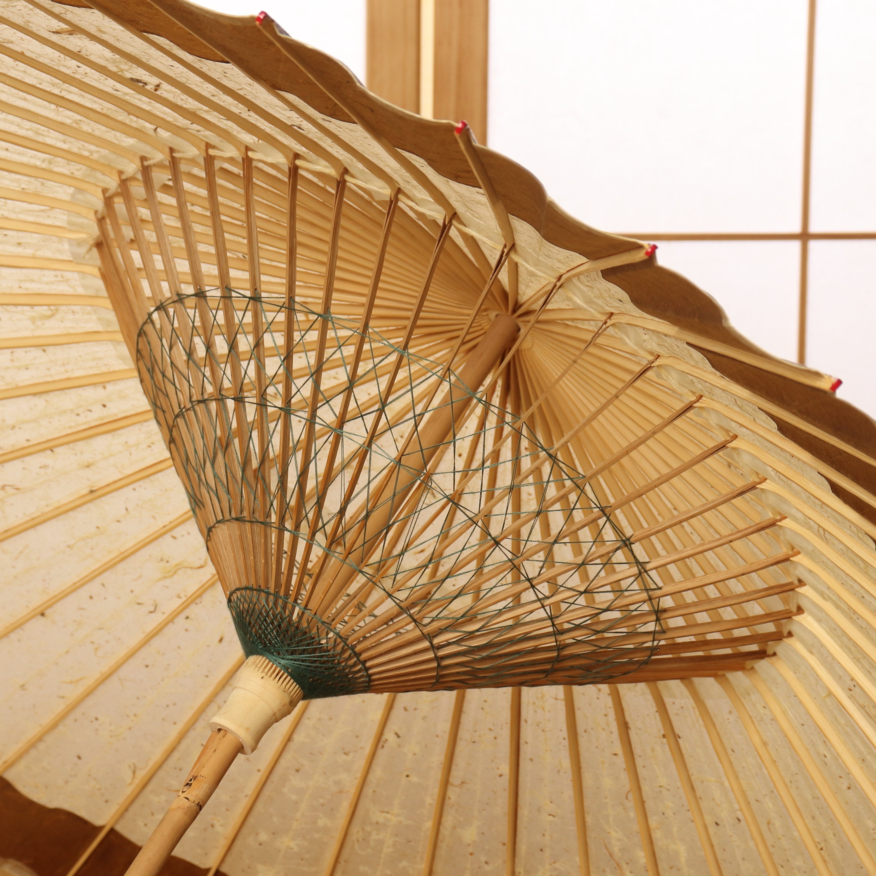 辻倉『極み』 特選月奴 吹雪に翆玉