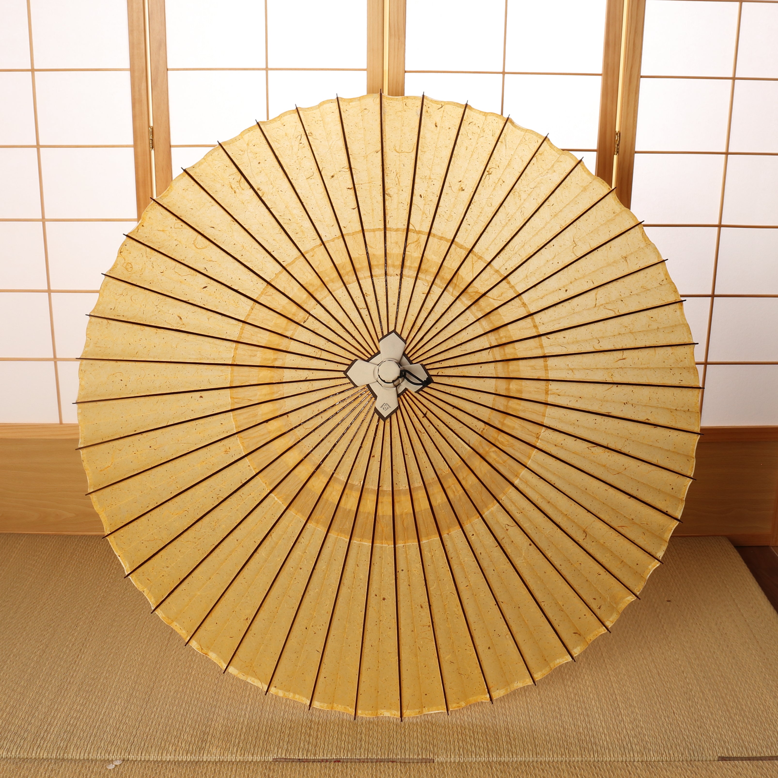 辻倉『極み』蛇の目柄 / 琥珀霞