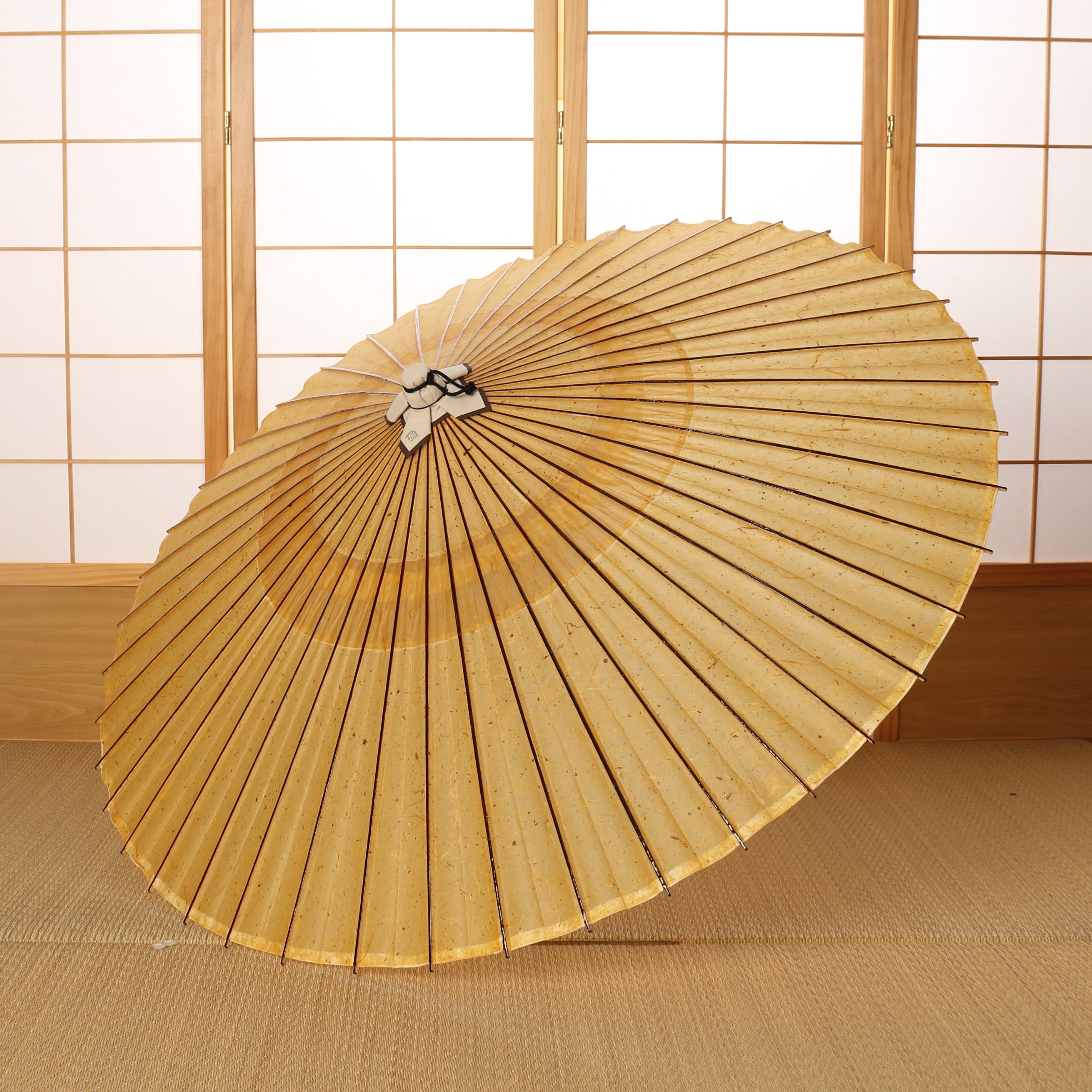 辻倉『極み』蛇の目柄 / 琥珀霞