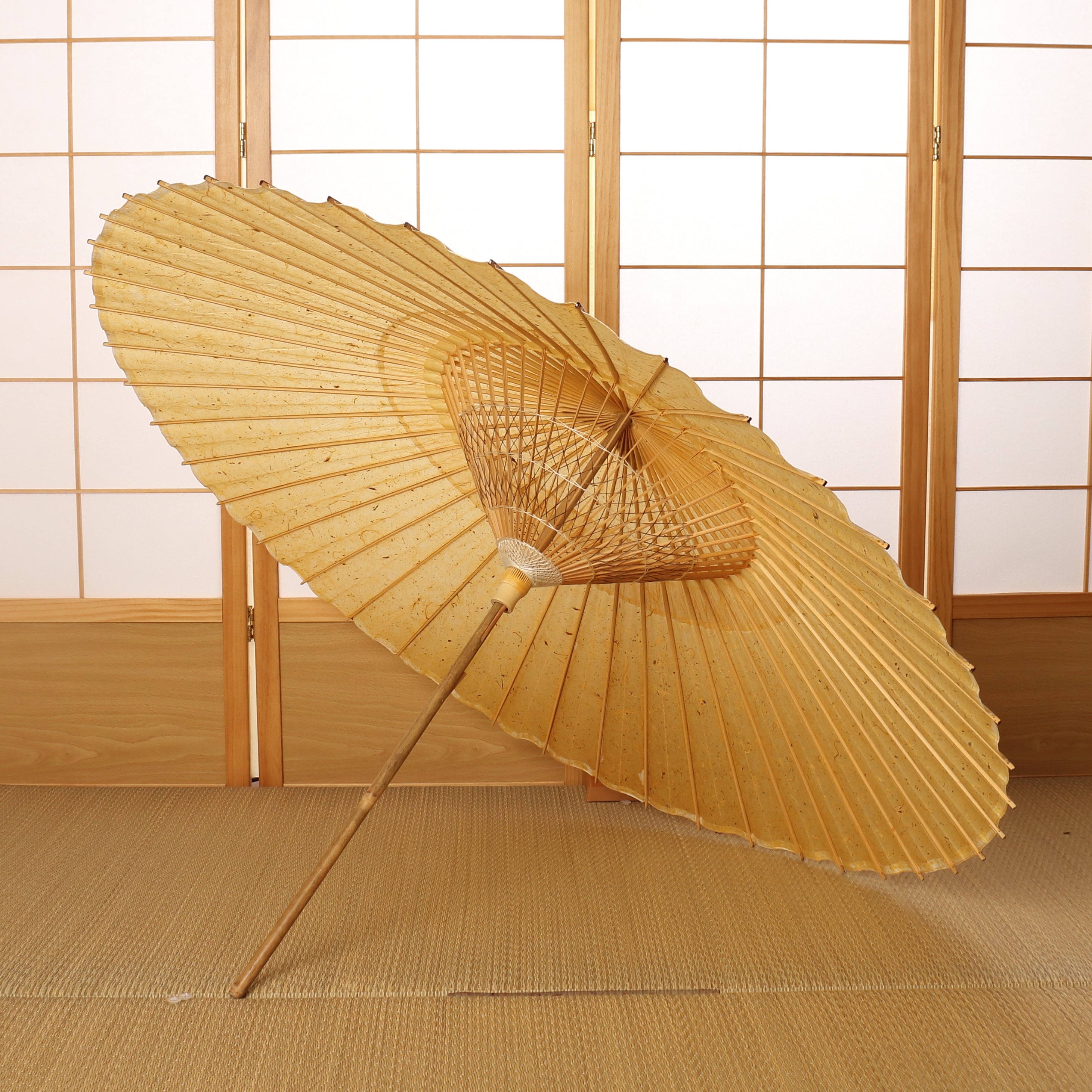 Kyoto Kurotani, Unryu / Janome Pattern / Peony / KIWAMI