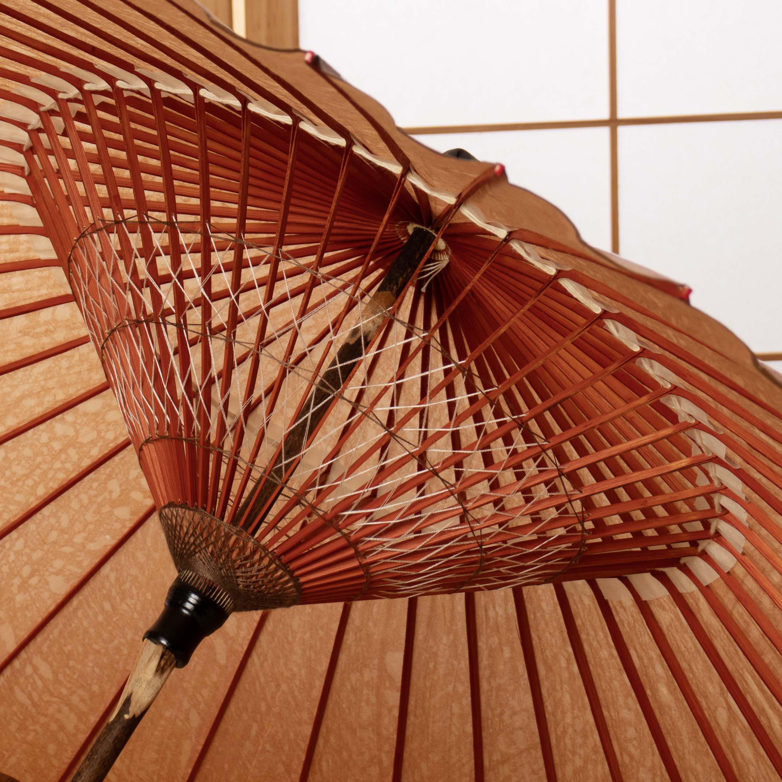 辻倉特撰無地 黒竹 柿渋染