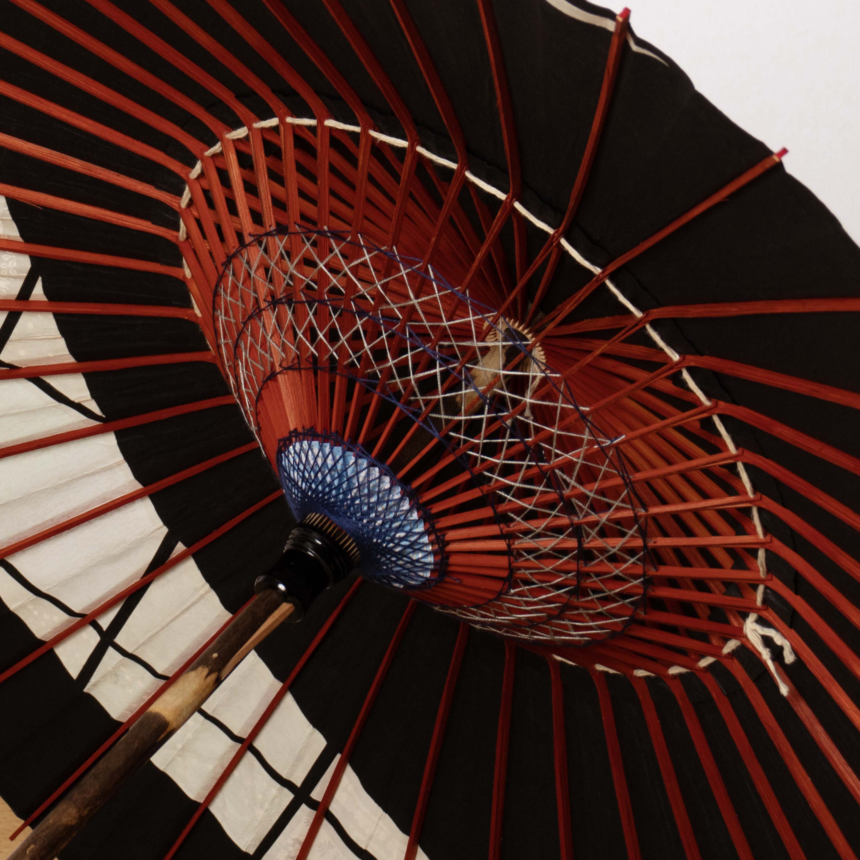 四季の窓 『涼華』