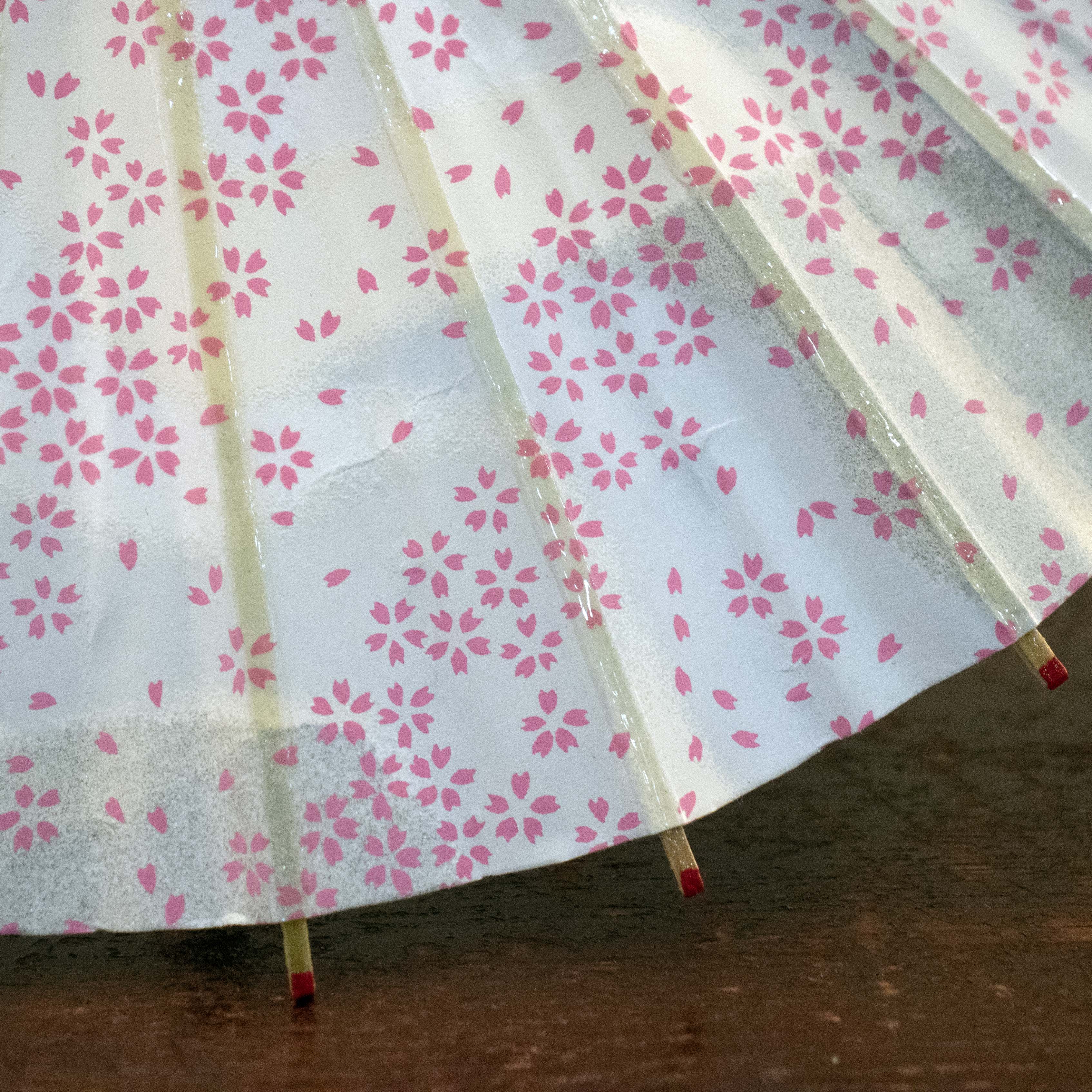 姫和傘 『花かすみ』銀