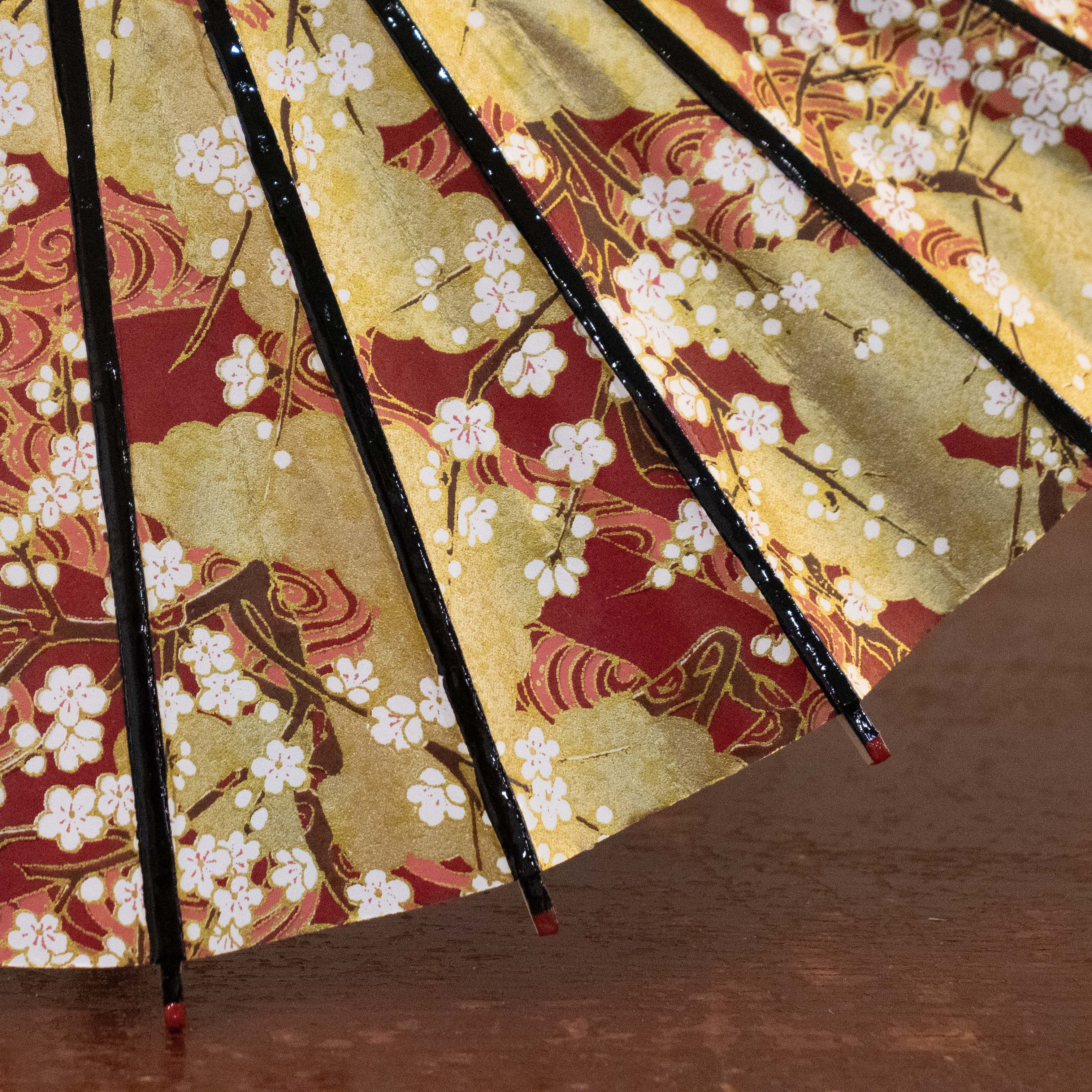 姫和傘 『雲どり流水に梅』エンジ