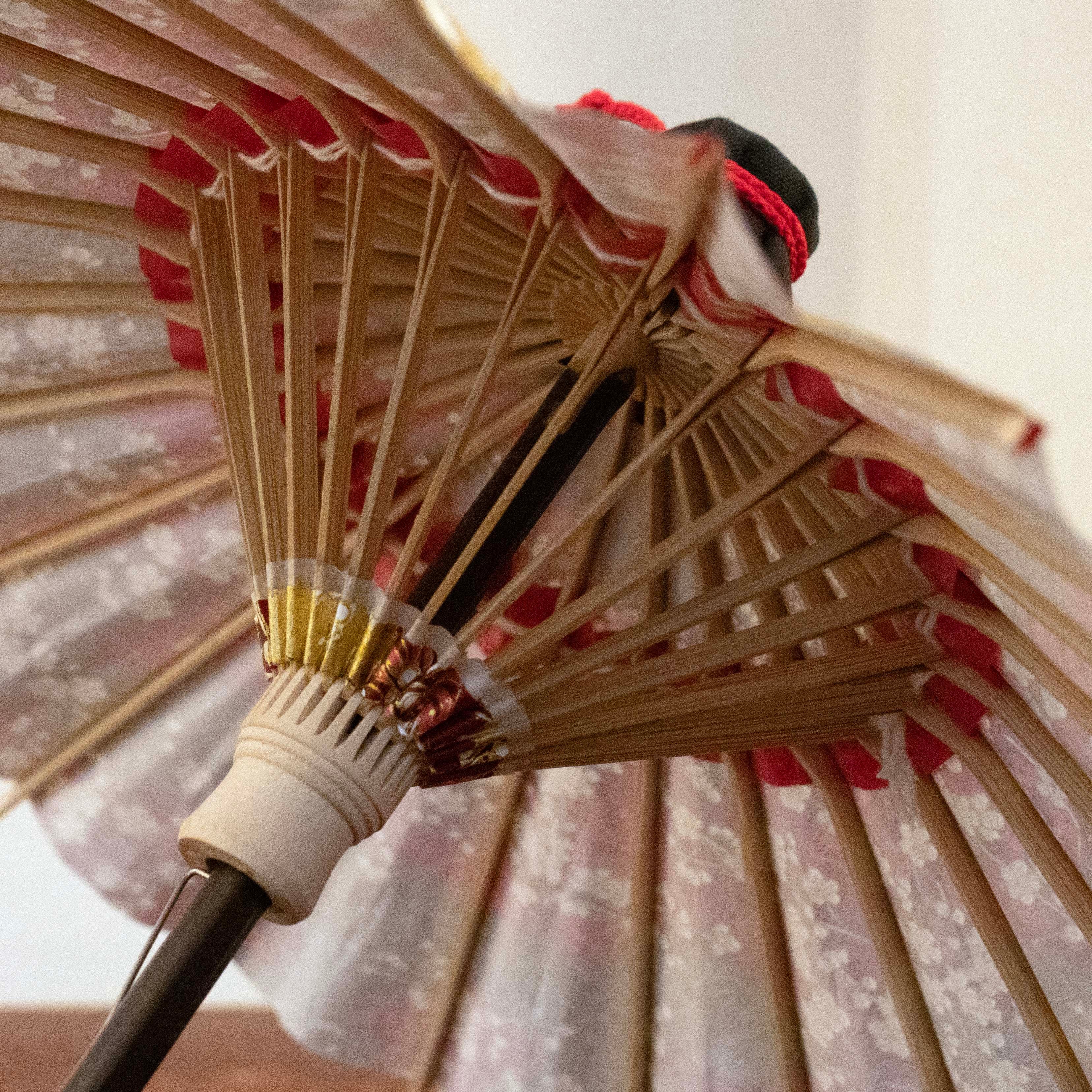 姫和傘 『雲どり流水に梅』エンジ