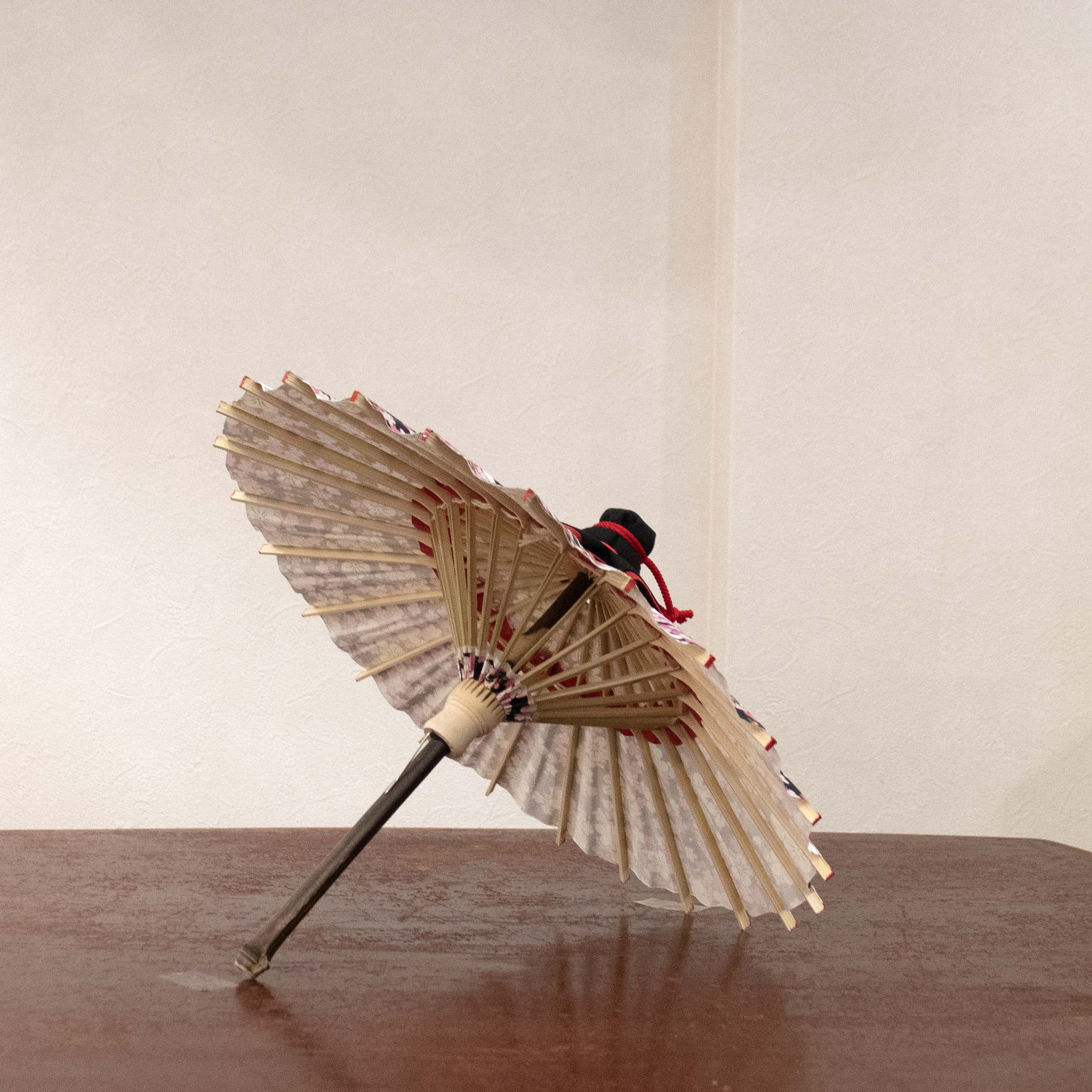 姫和傘 『黒地に梅模様』