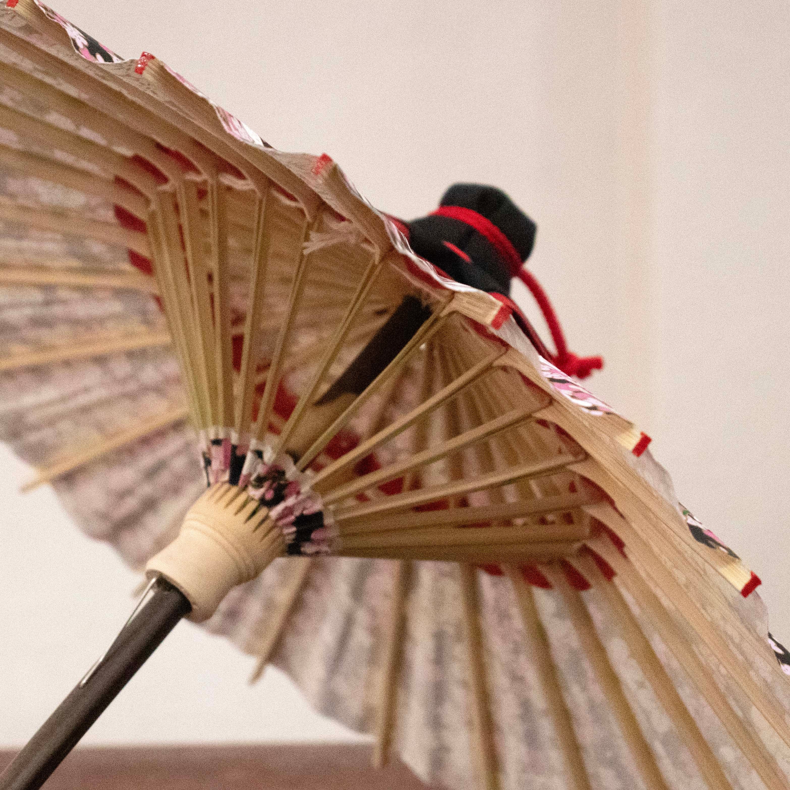 姫和傘 『黒地に梅模様』