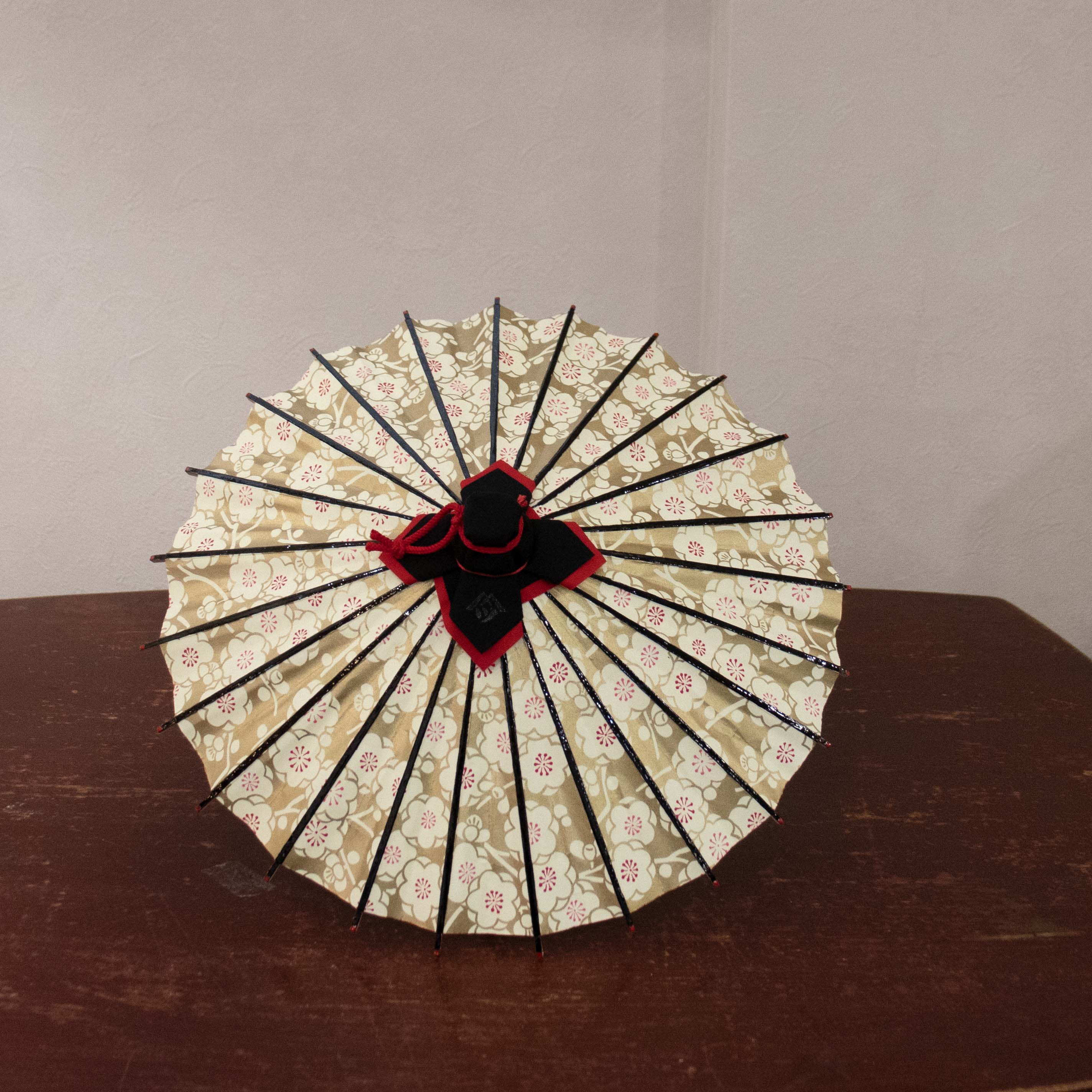 姫和傘 『金彩 白梅』 黒漆